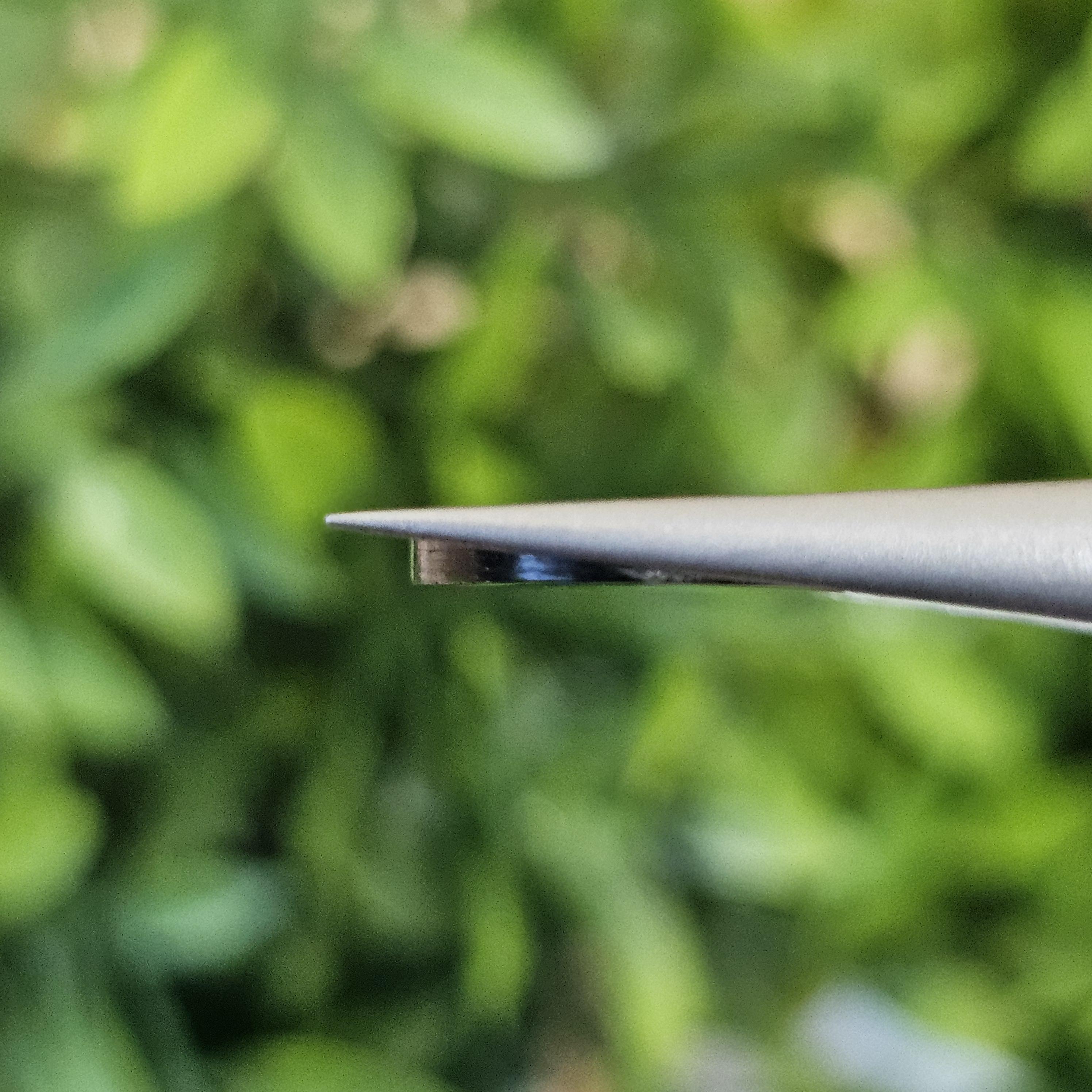 เปลือกหอยมุก แกะสลัก Pearl Shell Carved 4.51 กะรัต (Cts.)