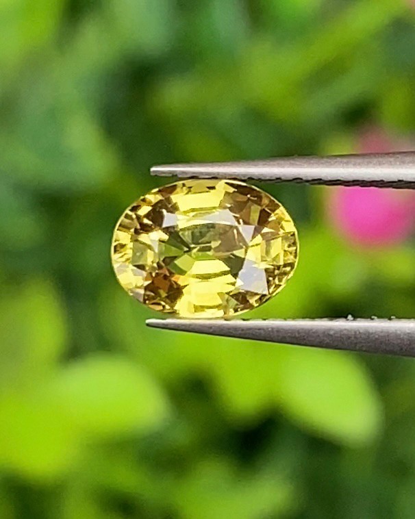 พลอย บุษราคัม yellow sapphire 1.12 กะรัต (Cts.) ดิบ (Unheated) พร้อมใบเซอร์ พลอยแท้ อัญมณีมงคลประจําวันเกิด เครื่องประดับพลอย