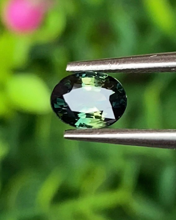 พลอย แซฟไฟร์ 3 สี Tri Color Sapphire 0.85 กะรัต Cts. พลอยแท้ อัญมณีมงคลประจําวันเกิด เครื่องประดับพลอย