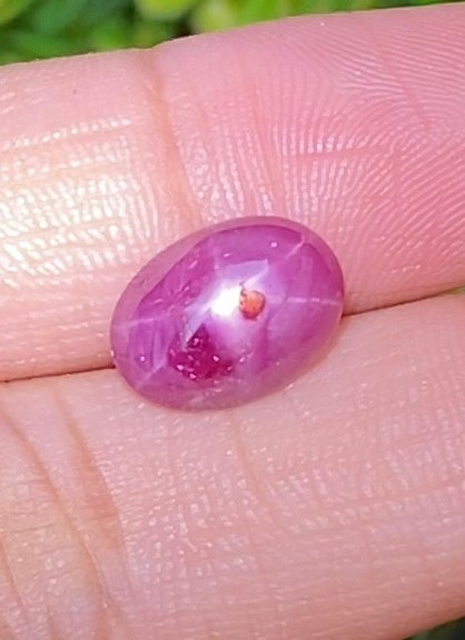 พลอย ทับทิมสตาร์ (Star Ruby Sapphire) 5.18 กะรัต (Cts.) พลอยแท้ อัญมณีมงคลประจําวันเกิด เครื่องประดับพลอย