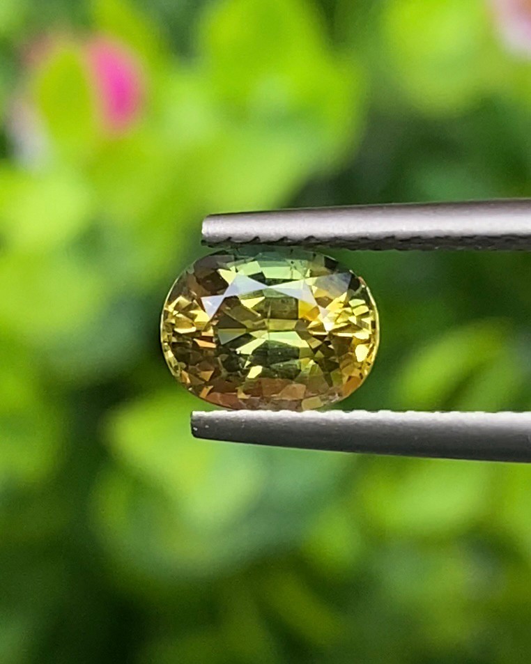 พลอย แซฟไฟร์ 2 สี Bi-Color Sapphire 1.37 กะรัต (Cts.) พลอยแท้ อัญมณีมงคลประจําวันเกิด เครื่องประดับพลอย