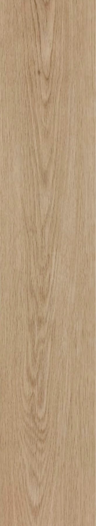 BF 205