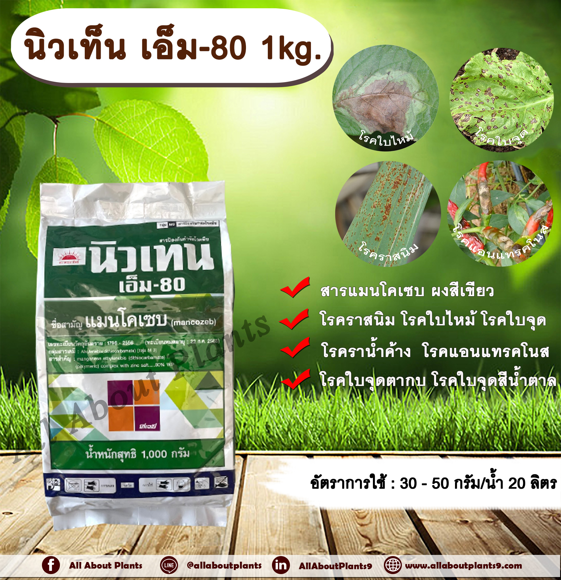 นิวเท็น เอ็ม-80 1kg. แมนโคเซบ ผงสีเขียว สารป้องกันกำจัดโรคพืช สารป้องกันเชื้อรา สารกำจัดโรคพืช โรคราสนิม โรคใบจุด โรคใบไหม้ โรคราน้ำค้าง โรคแอนแทรคโนส โรคราน้ำค้าง โรคใบจุดตากบ โรคใบจุดสีน้ำตาล ชิ้น