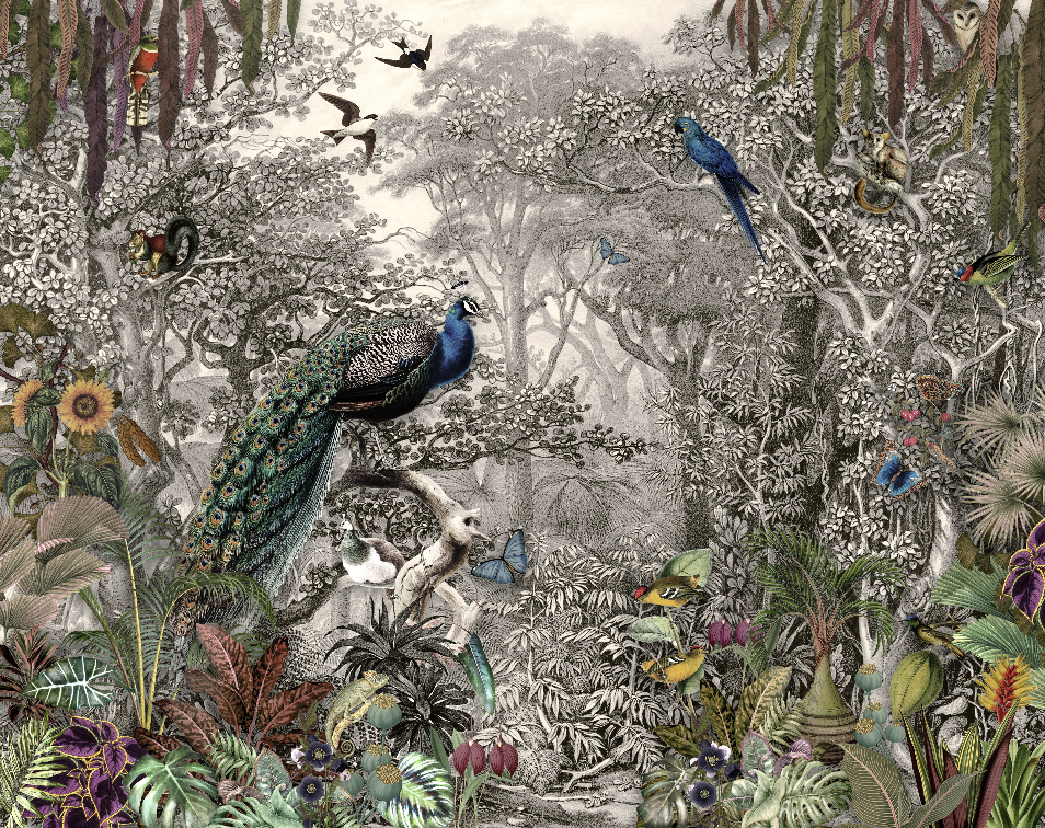 Wallpaper Digital Printing TR24090