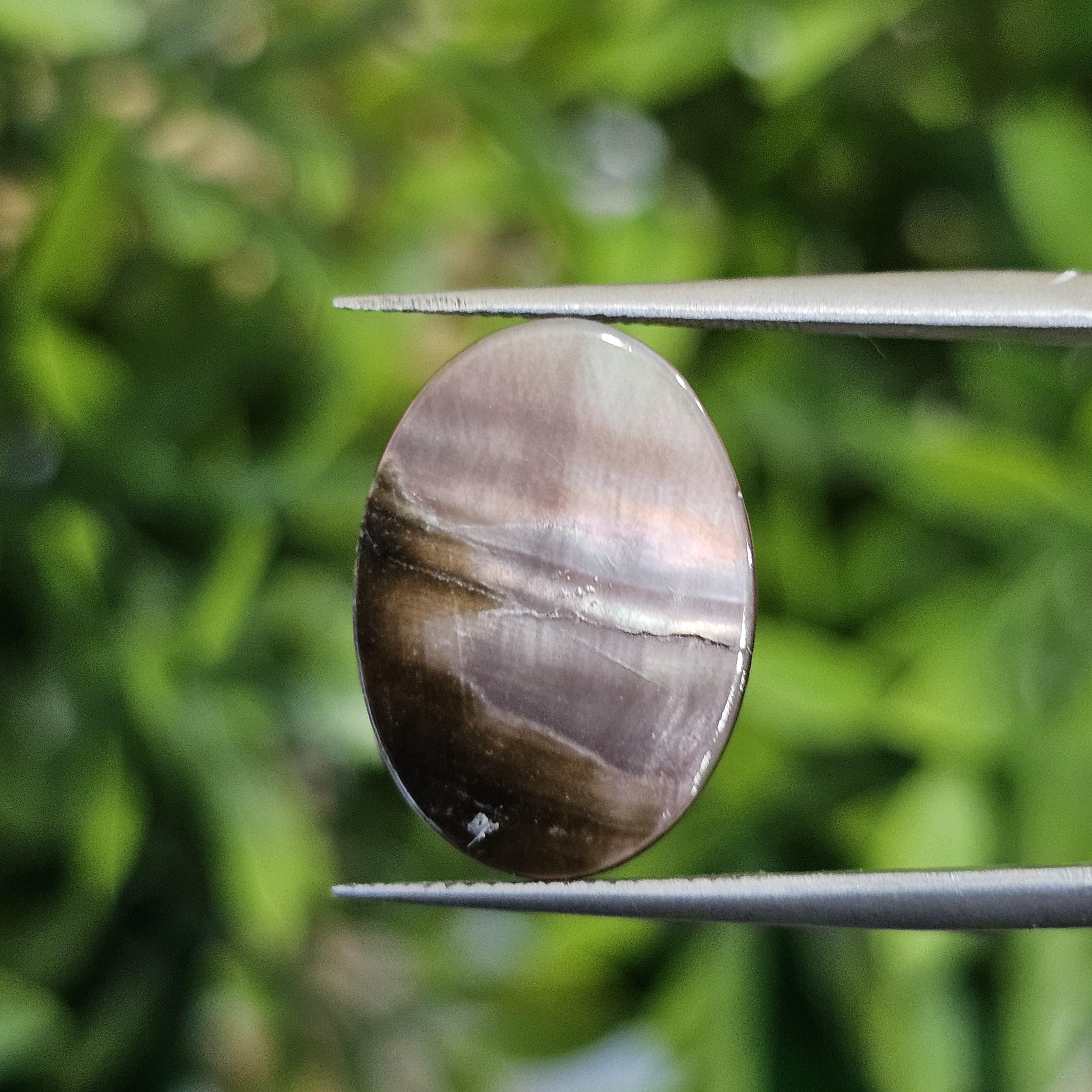 เปลือกหอยมุก แกะสลัก Pearl Shell Carved 3.94 กะรัต (Cts.)