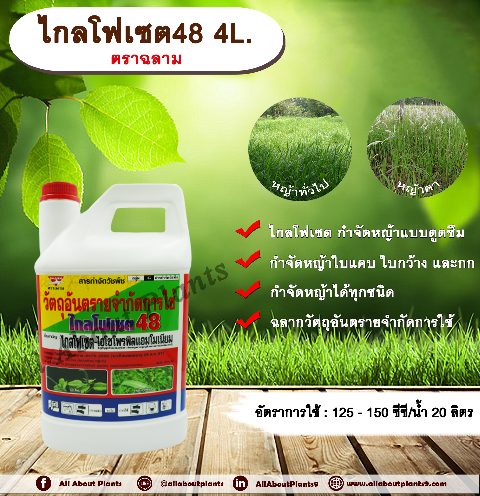 ไกลโฟเซต48 ตราฉลาม 4 L ไกลโฟเซต สารกำจัดวัชพืช แบบดูดซึม กำจัดหญ้าทั่วไป หญ้าคา วัชพืชข้ามปี และกก ดูดซึมไม่เลือกทำลาย Glyphosate allaboutplants ชิ้น