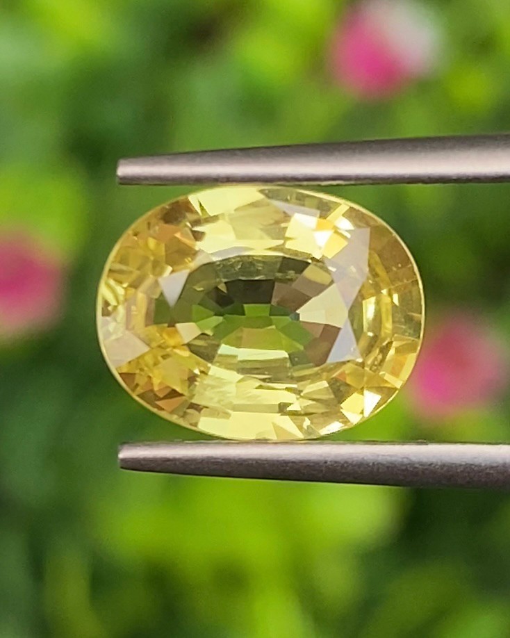 พลอย บุษราคัม yellow sapphire 3.14 กะรัต พร้อมใบเซอร์ พลอยแท้ อัญมณีมงคลประจําวันเกิด เครื่องประดับพลอย