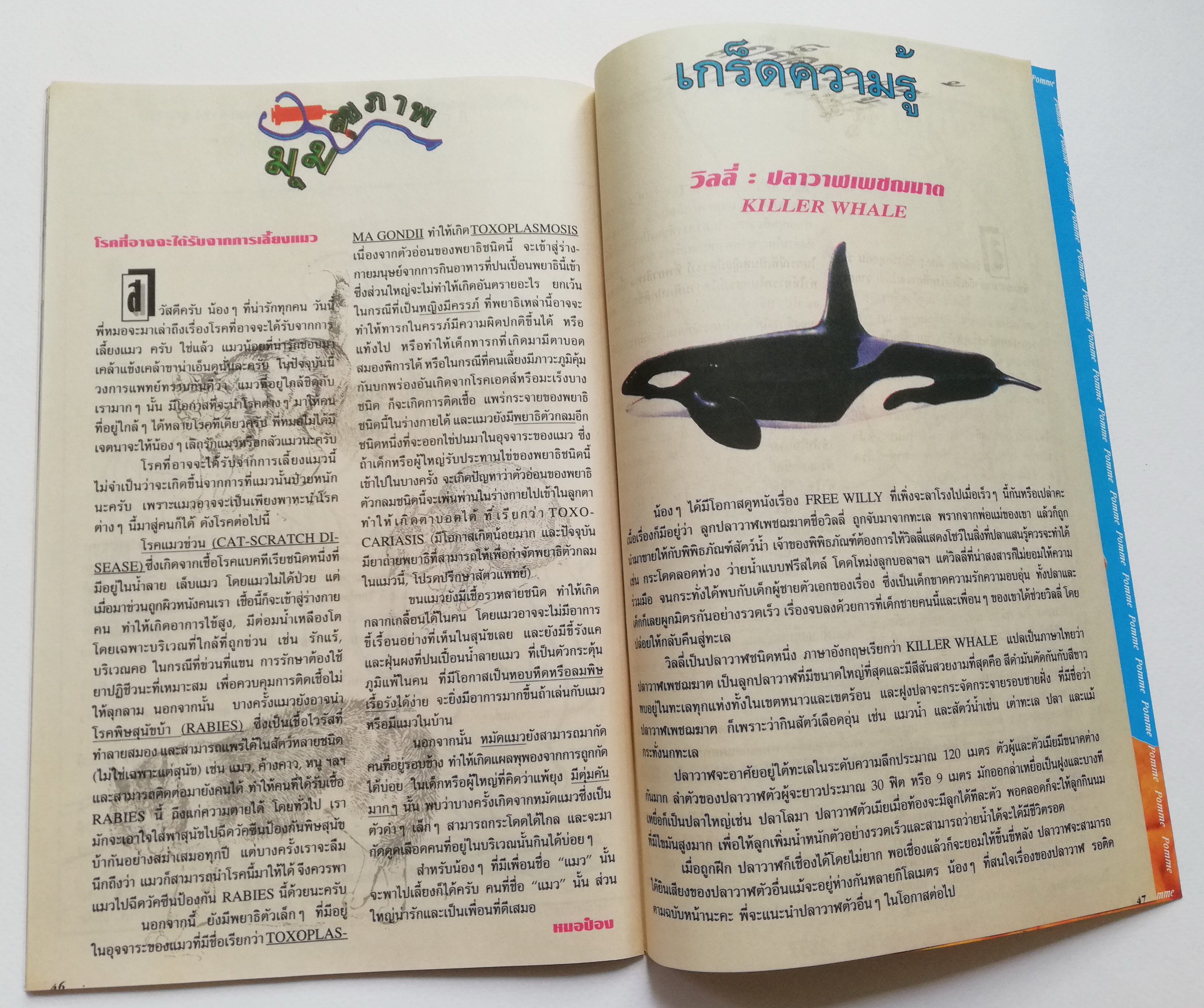 หนังสือการ์ตูนจาก Walt Disney COMICS AND STORIES ฉบับที่ 125 ตอน ท่านหัวหน้าคนใหม่ปลอดภัยจริงๆรึ และ กุญแจสู่ความมั่งคั่ง