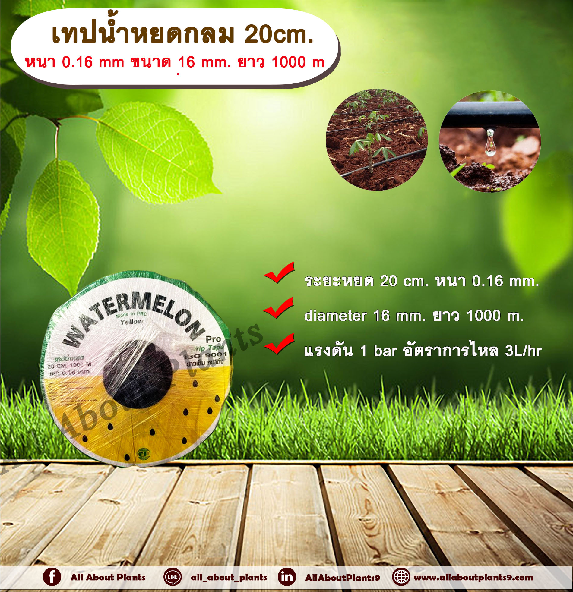 เทปน้ำหยด 20 cm. หนา 0.16 mm ขนาด 16 mm. ยาว 1000 m. ตราแตงโมเหลือง เทปน้ำหยด สายน้ำหยด แบบกลม แบบกิ๊ป ระยะห่างรู 20 cm. หนา 0.16 mm. ยาว 1000 m. Drip Tape ม้วน