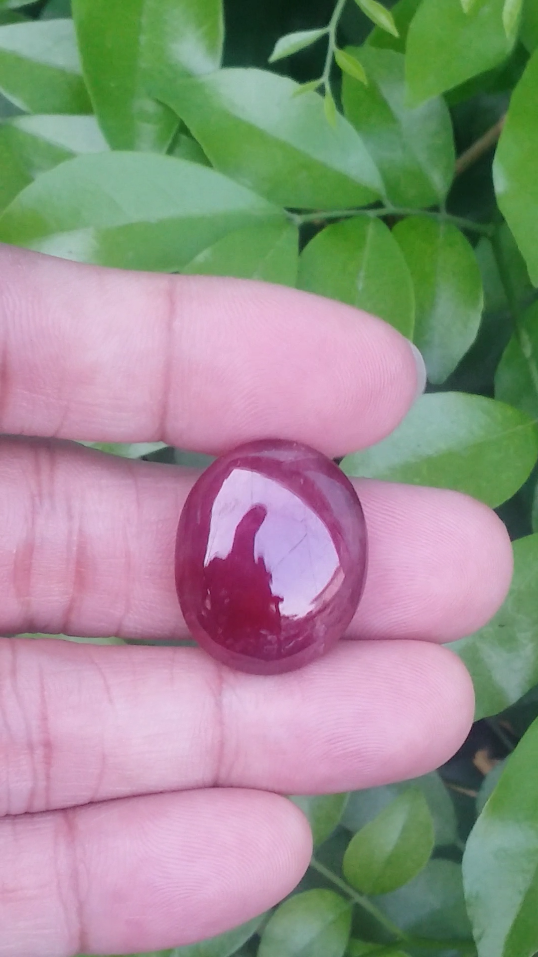 พลอย ทับทิม Ruby sapphire 53.085 กะรัต (Cts.) พลอยแท้ อัญมณีมงคลประจําวันเกิด เครื่องประดับพลอย