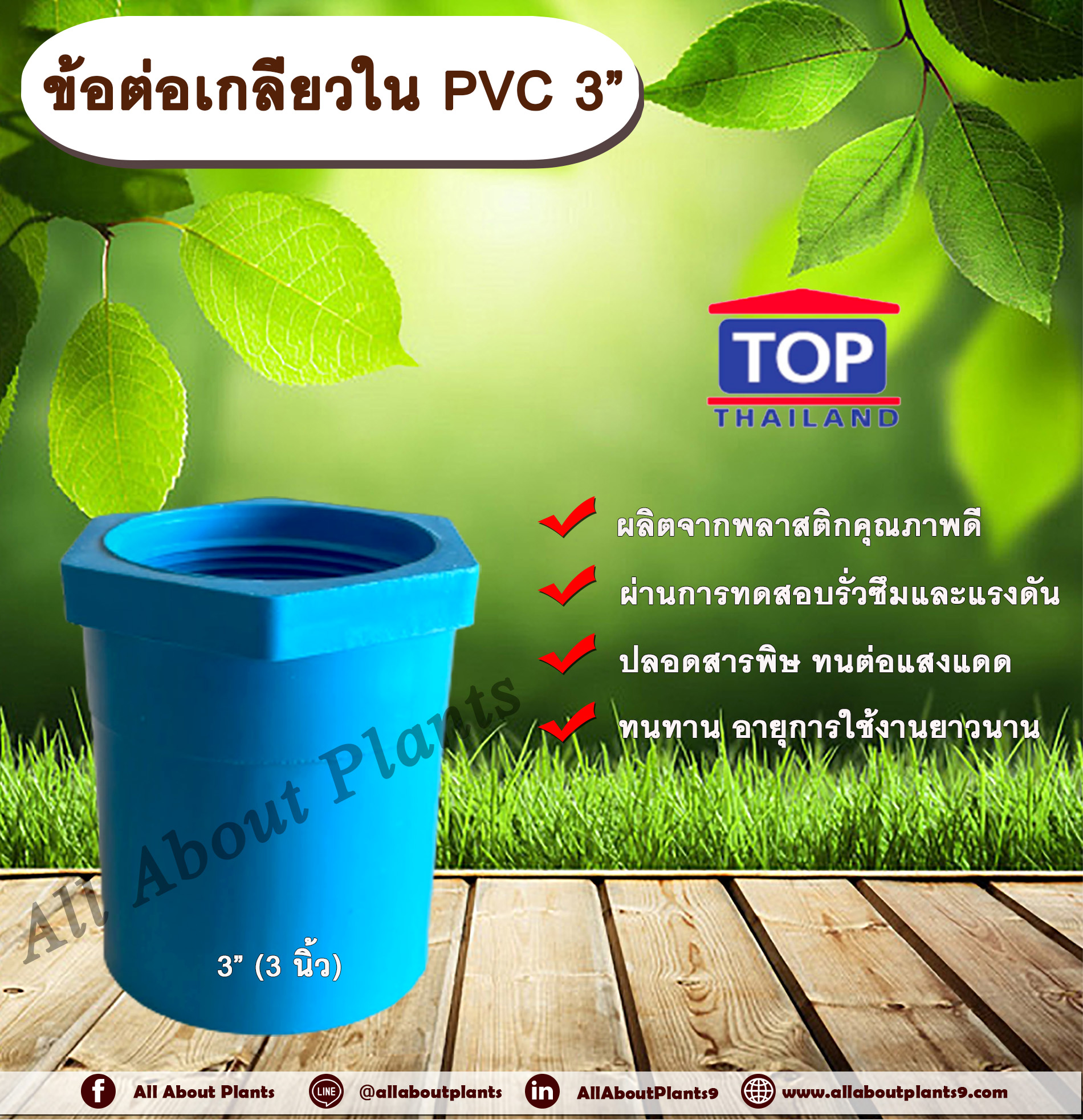 ข้อต่อเกลียวใน PVC ตรา TOP 3” ข้อต่อท่อPVC ข้อต่อเกลียวใน ต่อตรงเกลียวใน ต่อตรงเกลียวใน 3 นิ้ว ข้อต่อพีวีซี ข้อต่อPVC ต่อตรงพีวีซี ต่อตรงPVC ชิ้น