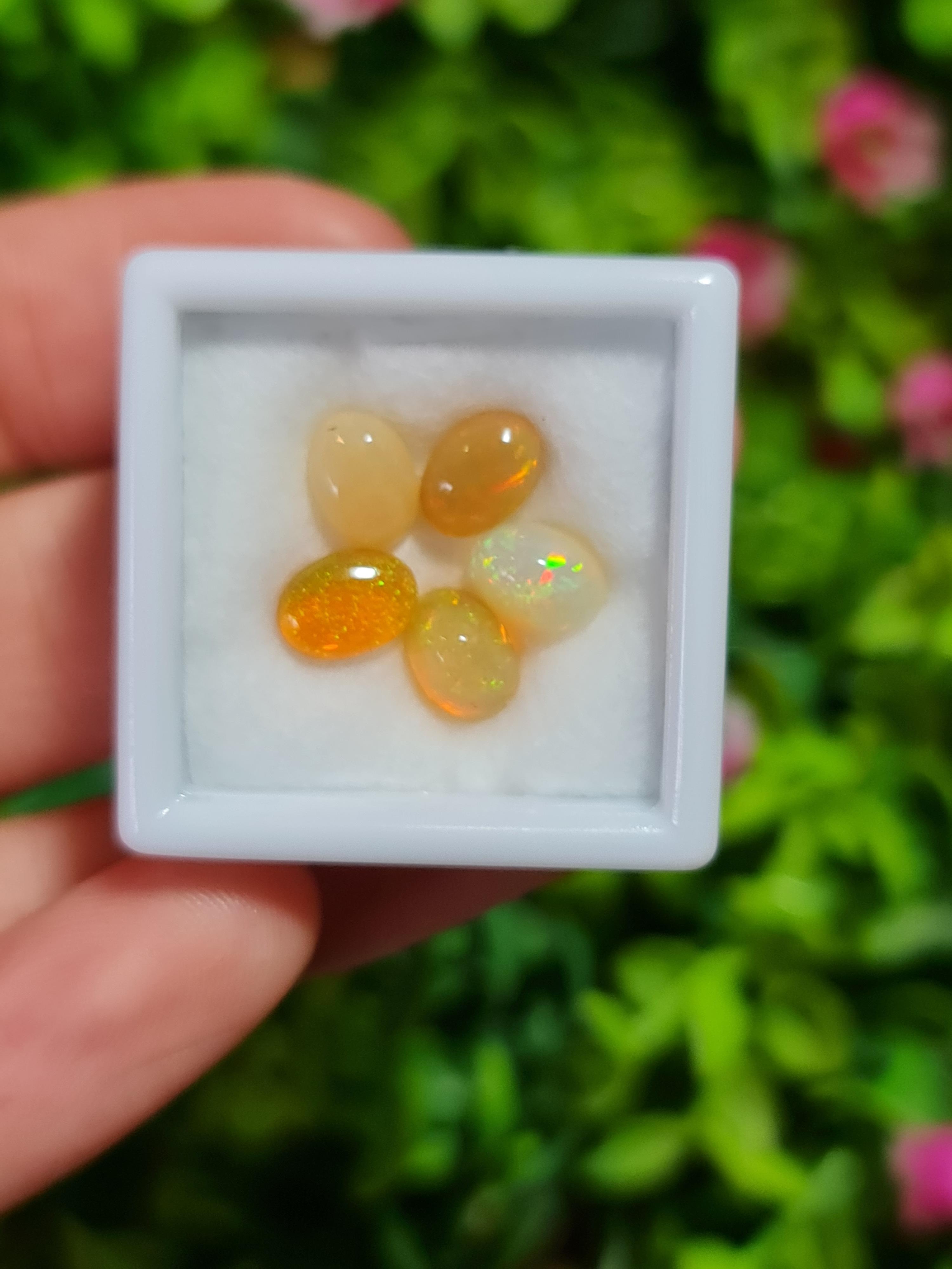 พลอย โอปอล Opal 3.10 กะรัต (Cts.) 5 เม็ด (Pcs.) พลอยแท้ อัญมณีมงคลประจําวันเกิด เครื่องประดับพลอย