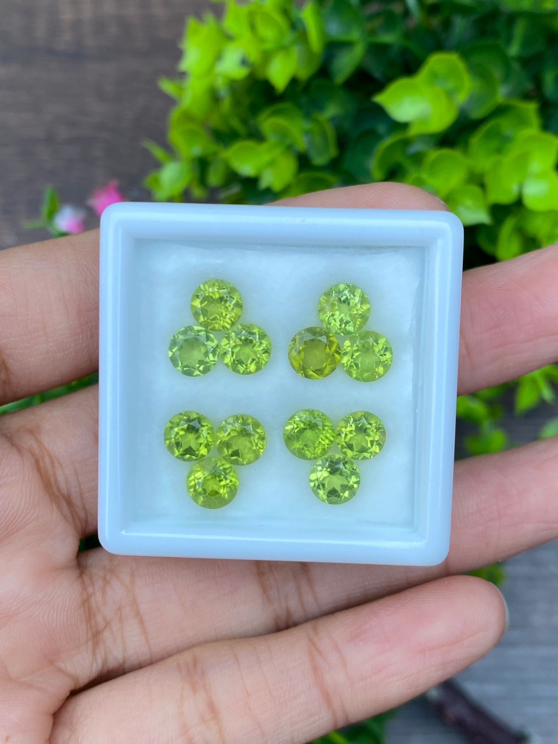 พลอย เพอริดอต Peridot 11.49 กะรัต (Cts.) 10 เม็ด (pcs.) พลอยแท้ อัญมณีมงคลประจําวันเกิด เครื่องประดับพลอย