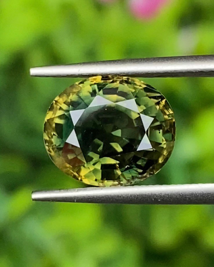 พลอย แซฟไฟร์ 2 สี Bi-Color Sapphire 5.59 กะรัต (Cts.) พร้อมใบเซอร์ พลอยแท้ อัญมณีมงคลประจําวันเกิด เครื่องประดับพลอย