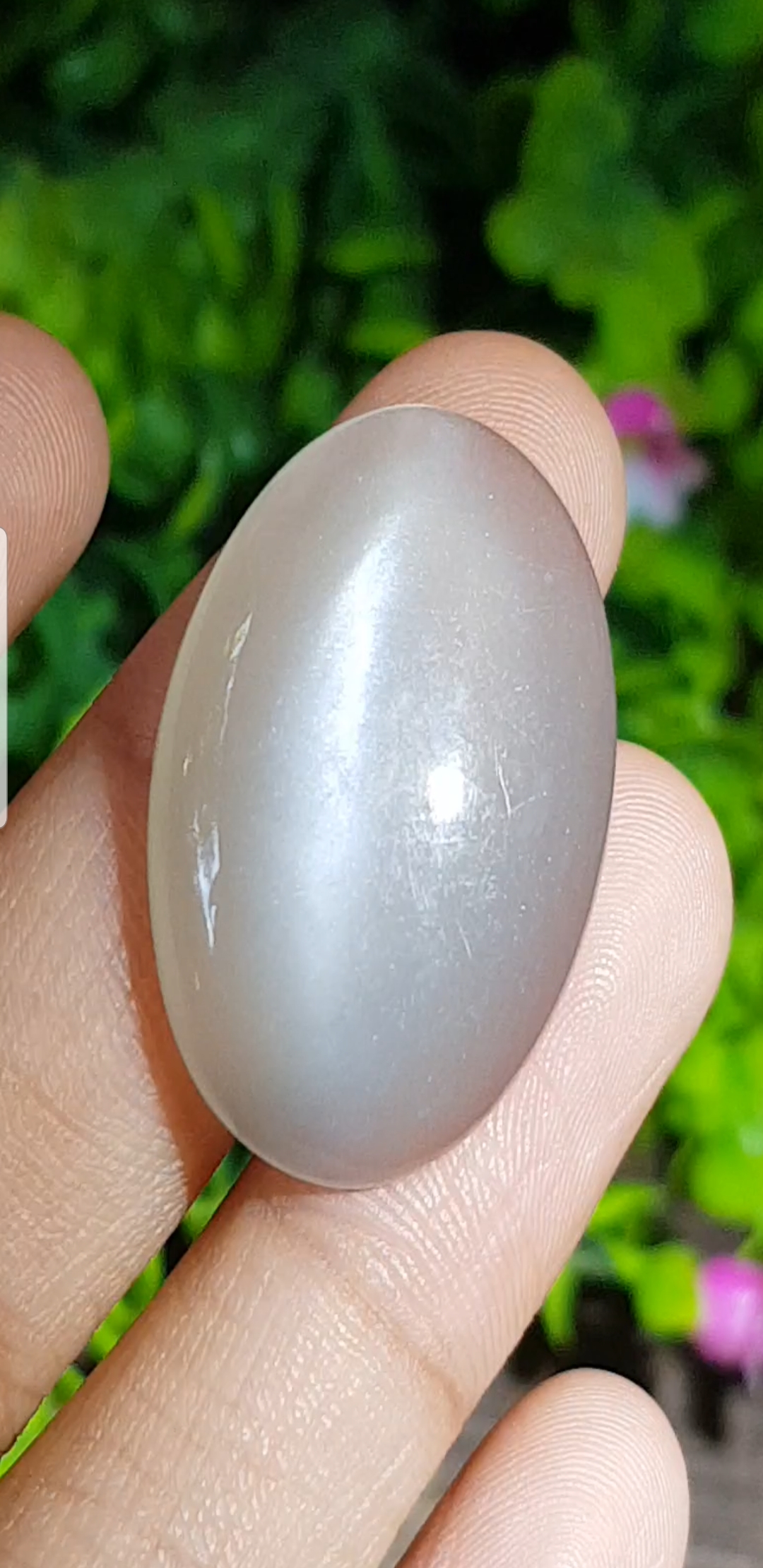 พลอย ตาแมว มูนสโตน Cat eye Moonstone 32.69 กะรัต (Cts.)พลอยแท้ อัญมณีมงคลประจําวันเกิด เครื่องประดับพลอย