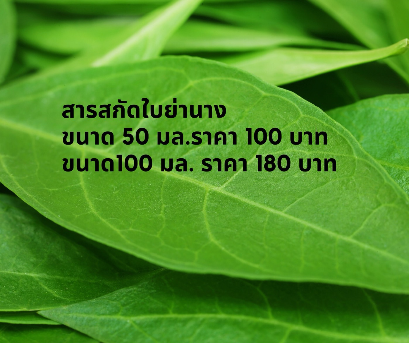 สารสกัดใบย่านาง บรรจุ 100 มล. (ราคารวม Vat 7%)