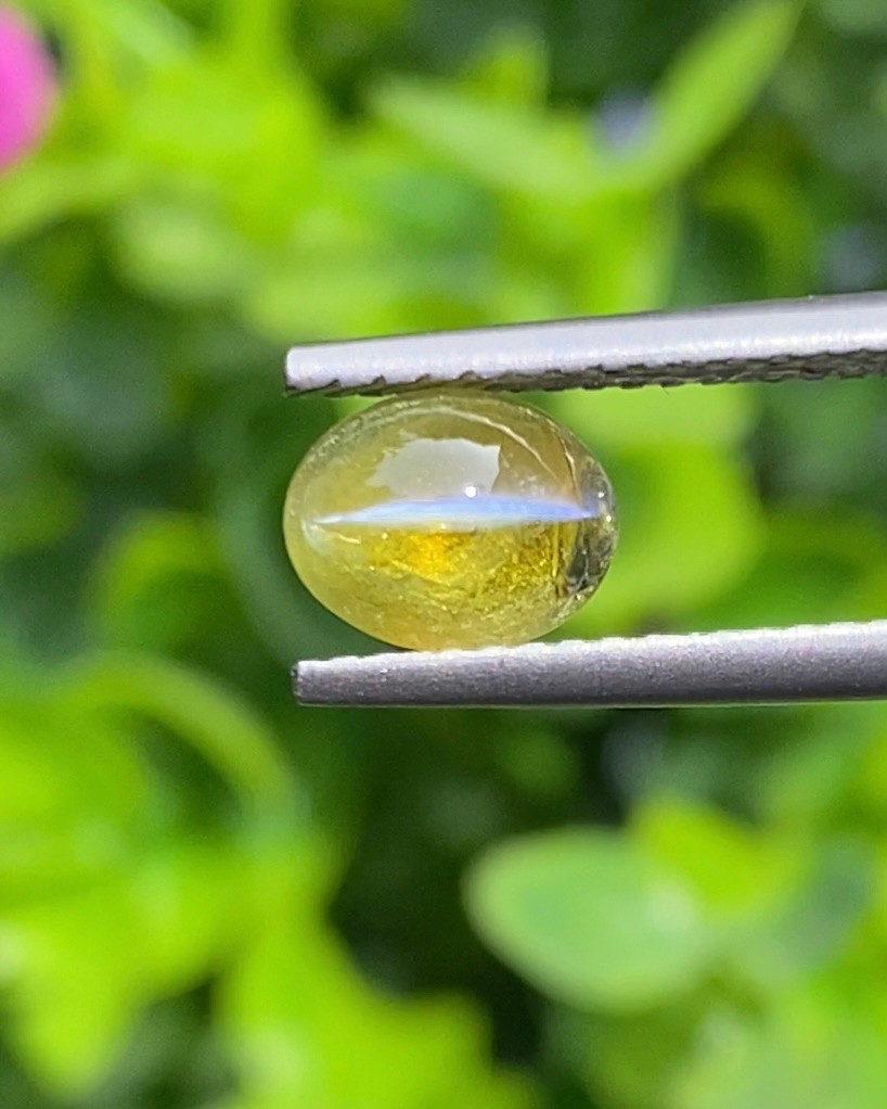 พลอย ตาแมว คริโซเบริล Cat eye Chrysoberyl 1.10 กะรัต (Cts.) พลอยแท้ อัญมณีมงคลประจําวันเกิด เครื่องประดับพลอย