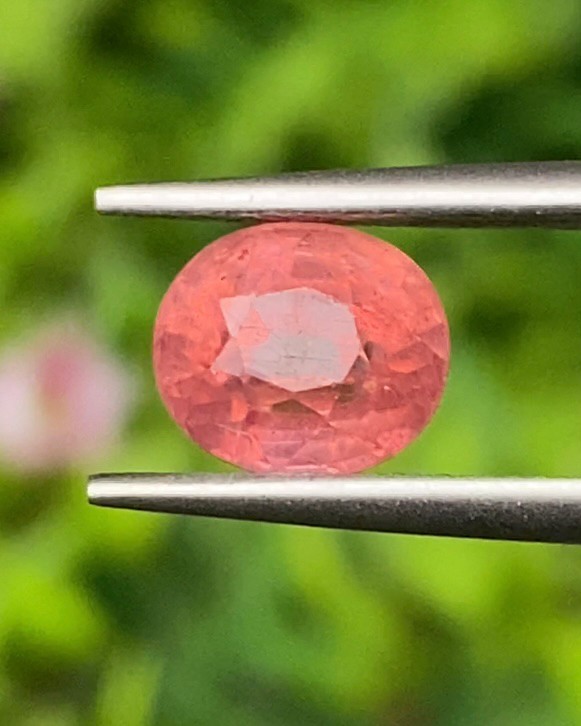 พลอย ออเรนจ์ แซฟไฟร์ Orange Sapphire 2.33 กะรัต (Cts.) พร้อมใบเซอร์ พลอยแท้ อัญมณีมงคลประจําวันเกิด เครื่องประดับพลอย