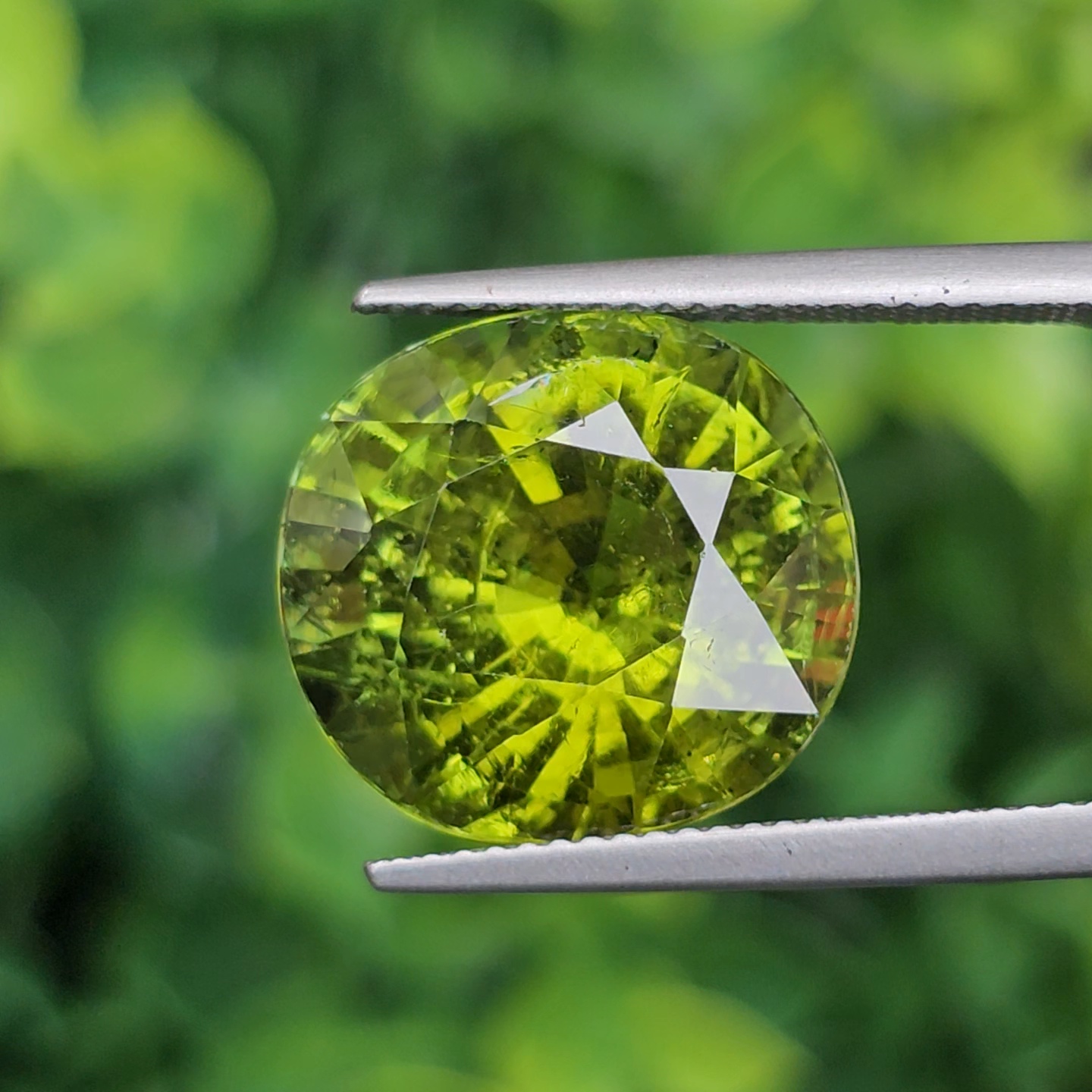 พลอย ทัวร์มาลีน Tourmaline 13.77 กะรัต (Cts.) พลอยแท้อัญมณีมงคล ประจําวันเกิด เครื่องประดับพลอย
