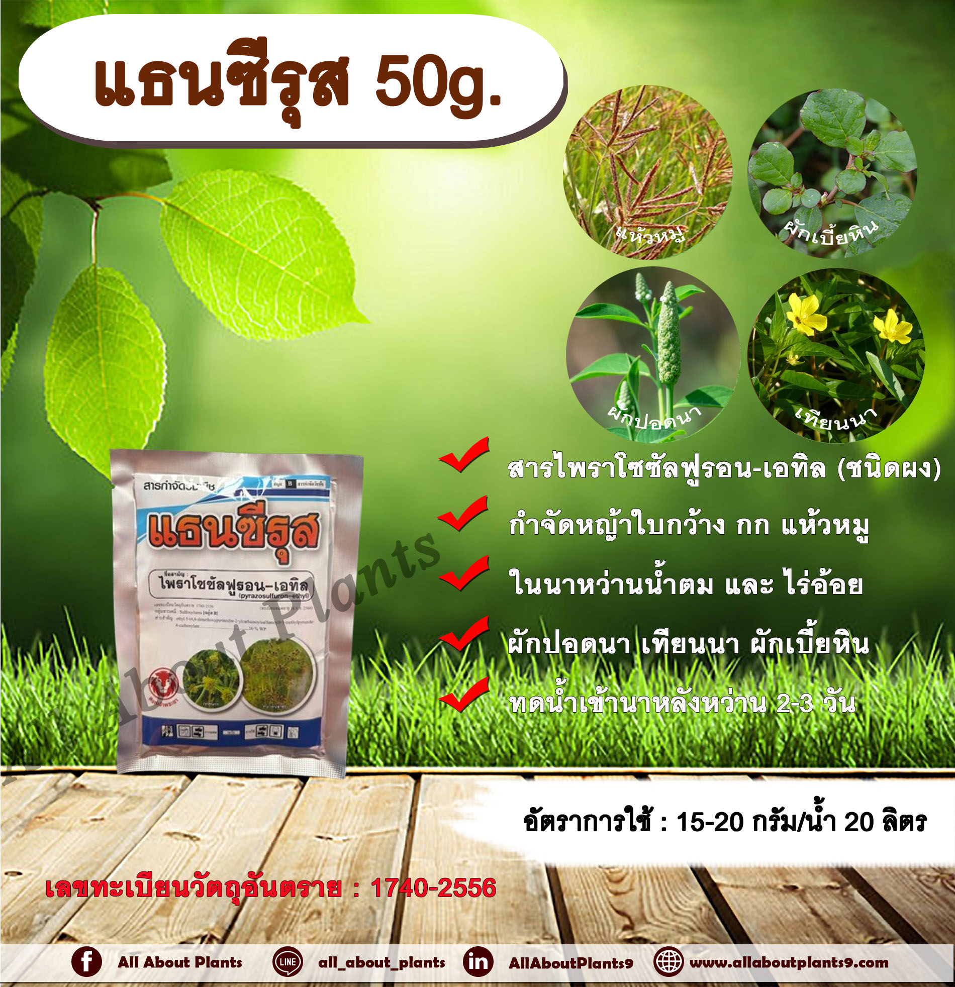 แธนซีรุส 50g. ไพราโซซัลฟูรอนเอทิล สารกำจัดวัชพืช ใบกว้าง กก ในนาข้าว อ้อย กำจัดหญ้า แห้วหมู ผักปอดนา เทียนนา ผักเบี้ยหิน ประเภทกก กกขนาก กำจัดหญ้าในนาหว่านน้ำตม ซอง