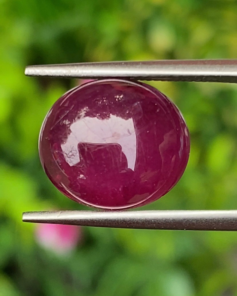 พลอย ทับทิม (Ruby Sapphire) 7.43 กะรัต (Cts.) พลอยแท้ อัญมณีมงคลประจําวันเกิด เครื่องประดับพลอย