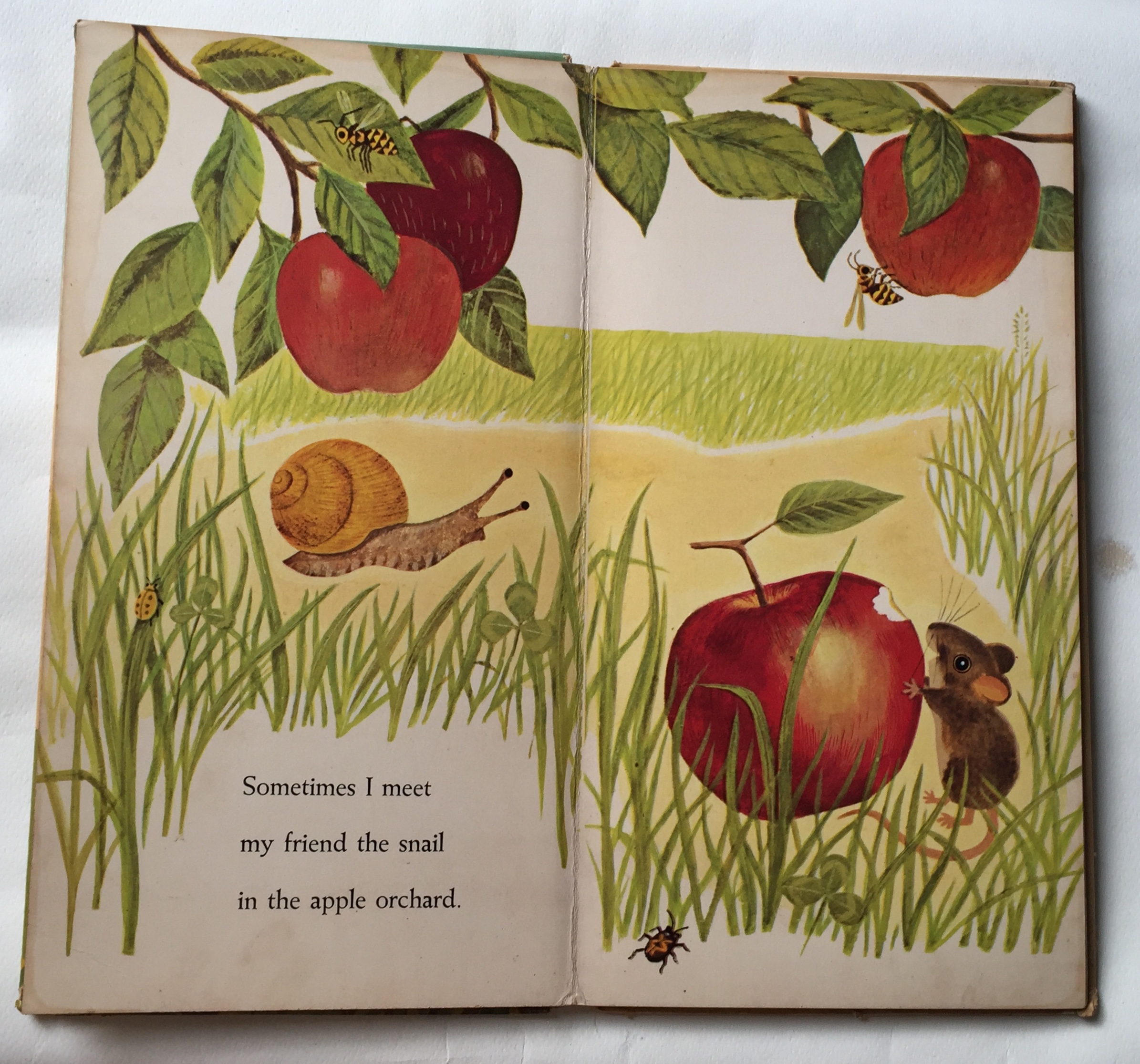 หนังสือนิทานเก่าภาพสวยปกแข็ง ปี 1964 ฉบับภาษาอังกฤษ "I am a Mouse", a golden sturdy happy book **มีตำหนิตามภาพ