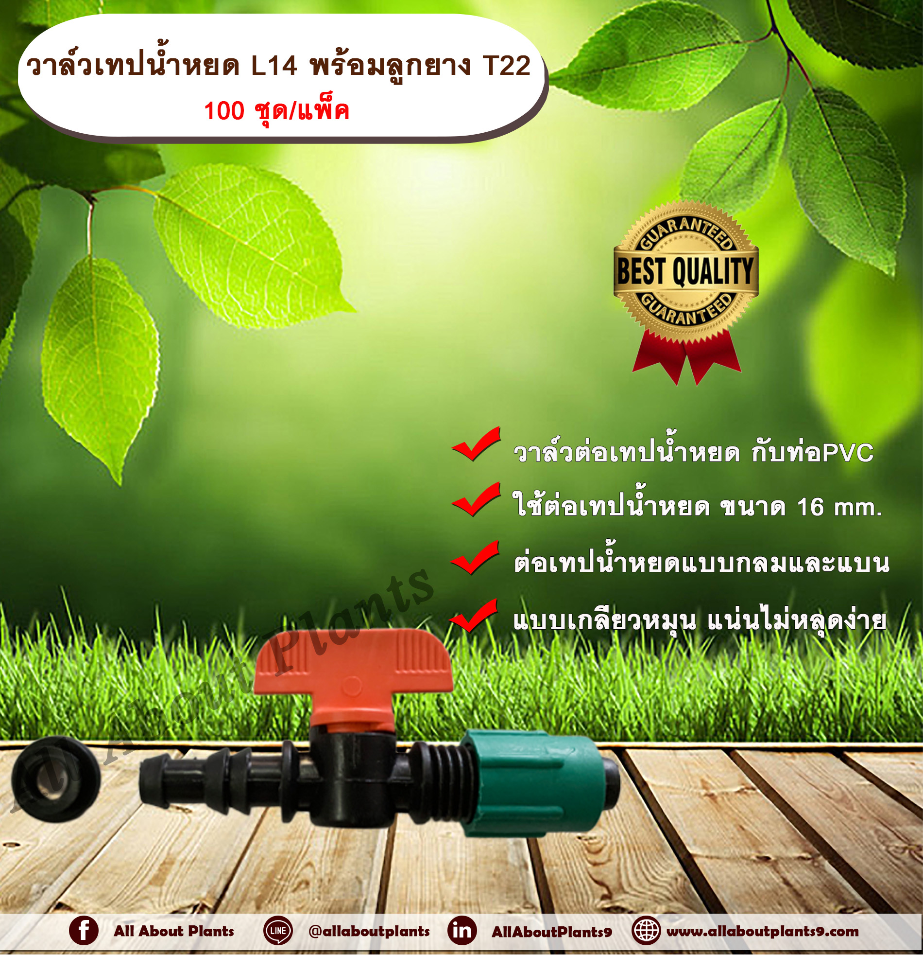 วาล์วเทปน้ำหยด L14 พร้อมลูกยาง T22 100 ชุด/แพ็ค วาล์วเทปน้ำหยด 16 มิล วาล์วปิดเปิด วาล์วปิดเปิดน้ำ วาล์วน้ำหยด ข้อต่อวาล์ว ข้อต่อเทปน้ำหยด ข้อต่อวาล์วเทปน้ำหยด allaboutplants แพ็ค