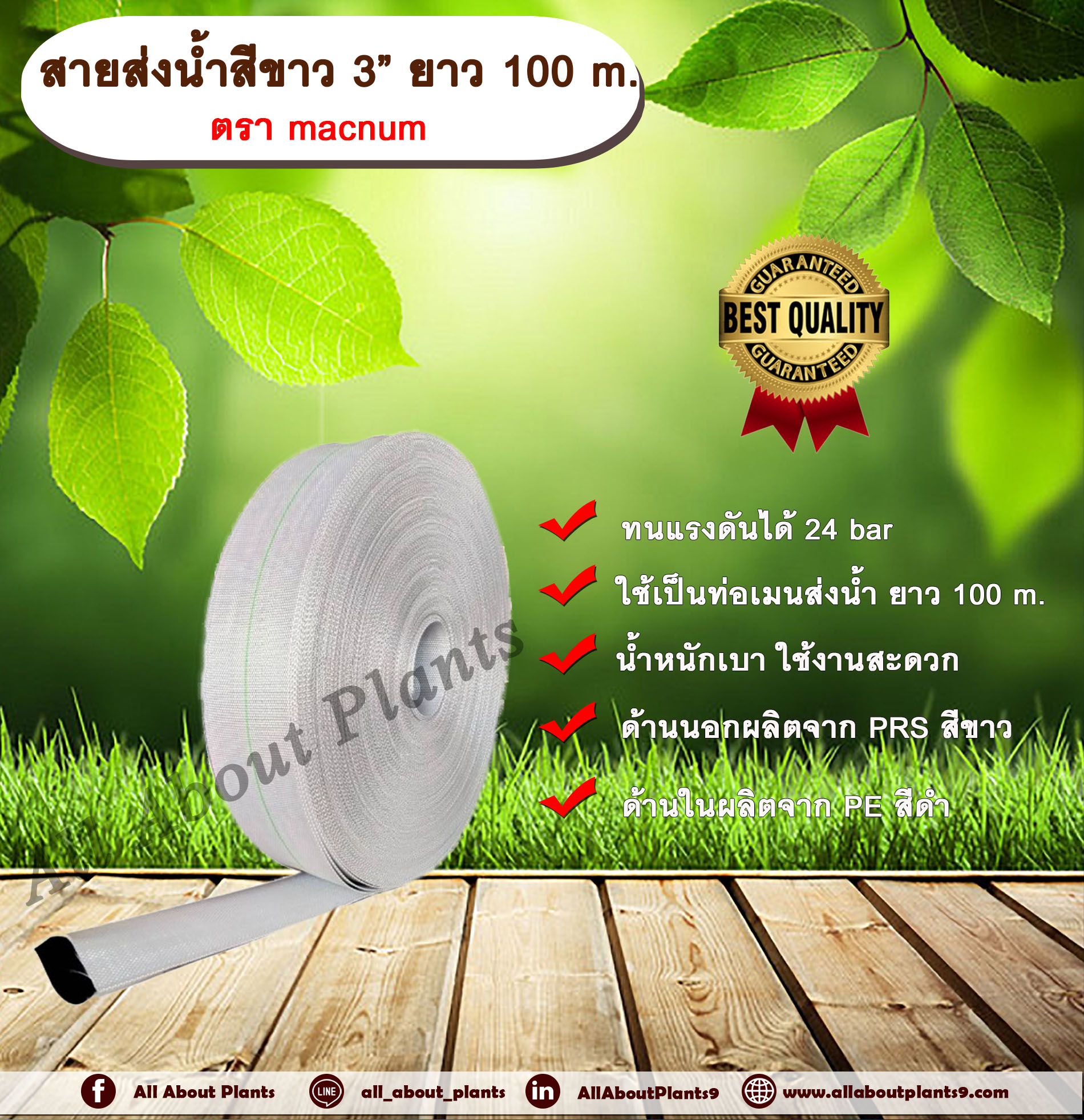 สายส่งน้ำสีขาว 3” ยาว 100 m. ตรา macnum สายส่งน้ำ สายส่งน้ำ PE คุณภาพสูง สายส่งน้ำ PRS สีขาว สายส่งน้ำสีขาว 3นิ้ว ยาว 100เมตร สายสำหรับส่งน้ำ ส่งน้ำสำหรับทำเกษตร ม้วน