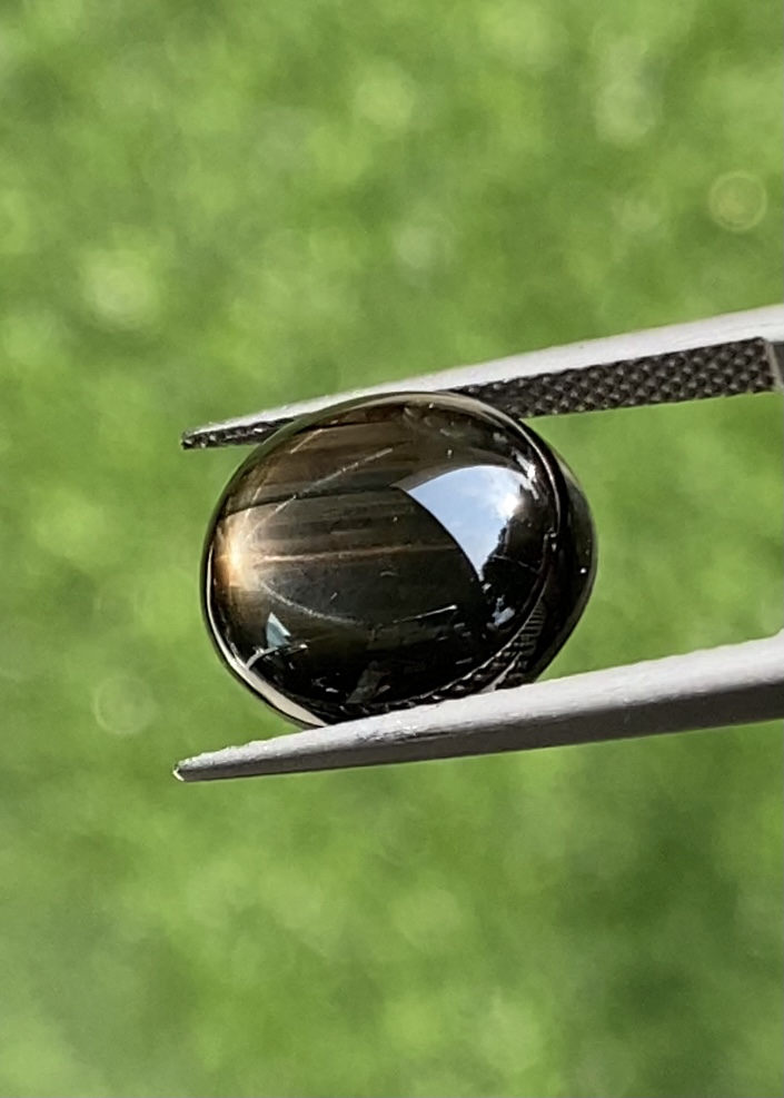 พลอย แบล็ค-กรีน สตาร์ แซฟไฟร์ Black-Green Star Sapphire 10.03 กะรัต (Cts.) ดิบ Unheated พร้อมใบเซอร์ พลอยแท้ อัญมณีมงคลประจําวันเกิด เครื่องประดับพลอย