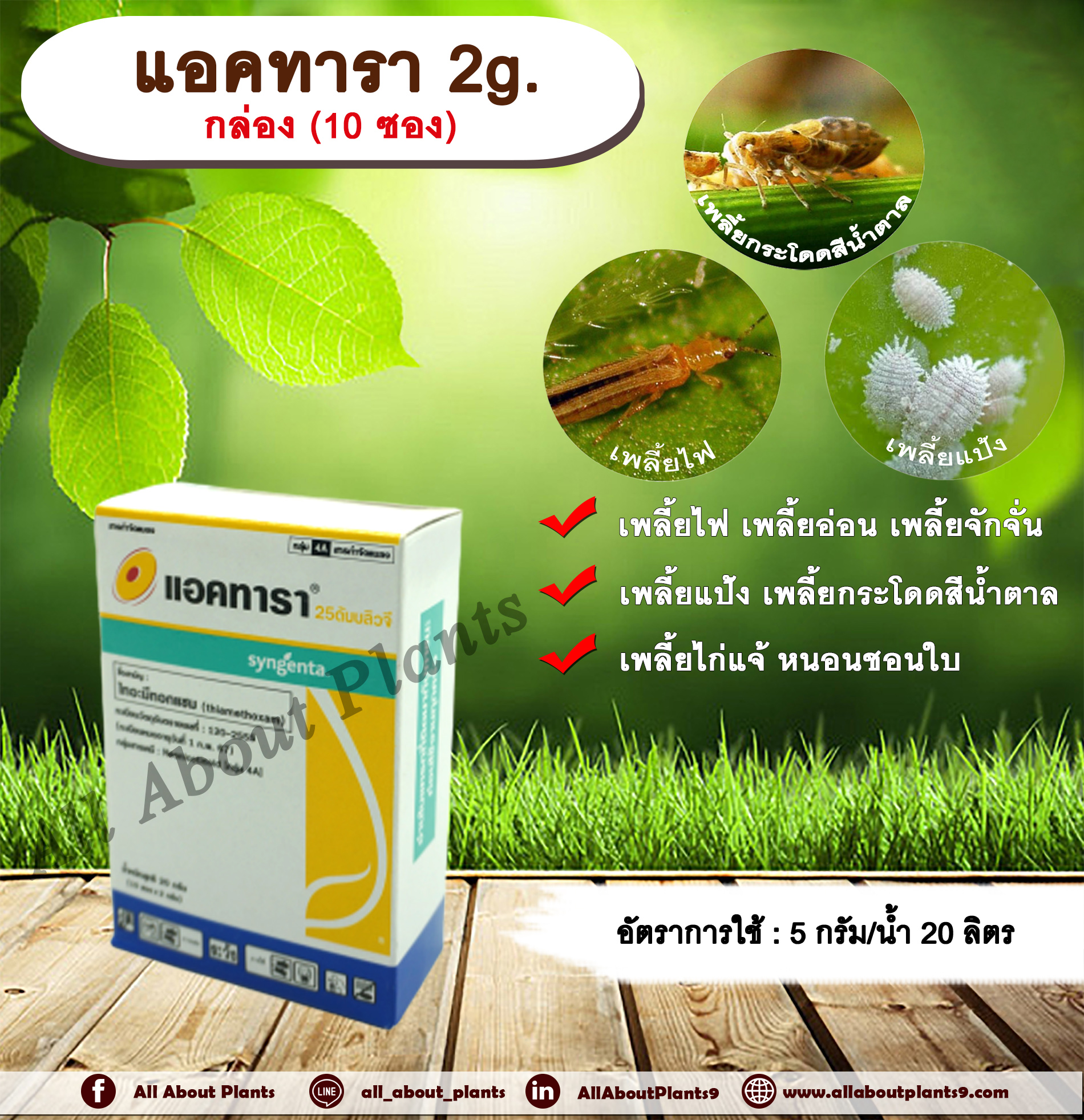 แอคทารา 2g. 1 กล่องไทอะมีทอกแซม สารกำจัดแมลง เพลี้ยไฟ เพลี้ยอ่อน เพลี้ยกระโดดสีน้ำตาล แมลงหวี่ขาว หนอนชอนใบ ซินเจนทา allaboutplants ชิ้น