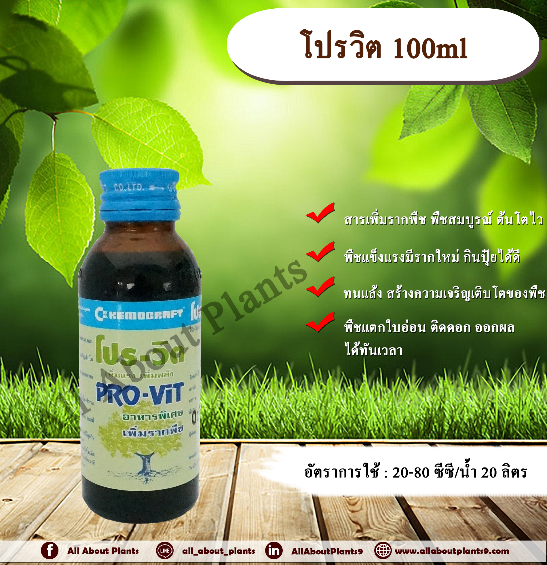โปรวิต 100ml. สารเพิ่มราก เร่งราก รากเยอะ รากแตกดี พืชสมบูรณ์ ต้นโตไว allaboutplants ชิ้น
