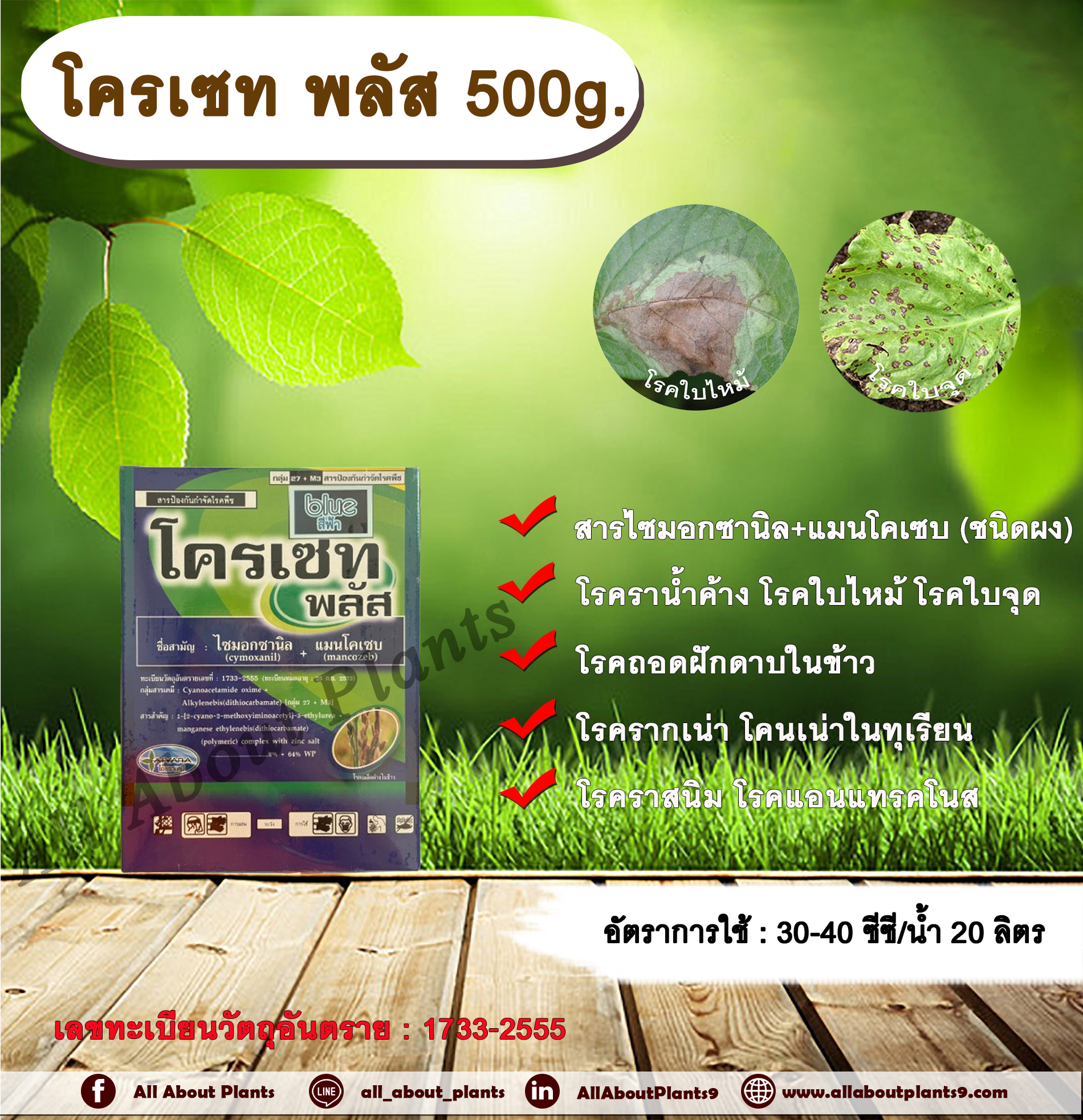 โครเซท พลัส 500g. ไซมอกซานิล+แมนโคเซบ สารกำจัดเชื้อรา โรคราน้ำค้างแตงกวา แตงโม แคนตาลูป โรคใบไหม้ โรคใบจุด โรครากเน่าโคนเน่าทุเรียน โรคถอดฝักดาบในข้าว โรคราสนิม โรคแอนแทรคโนสเชื้อรา allaboutplants ชิ้น