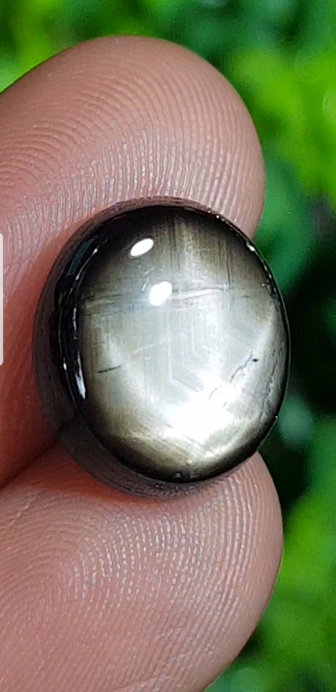 พลอย แบล็ค สตาร์ แซฟไฟร์ Black Star Sapphire 12.05 กะรัต (Cts.) ดิบ Unheated พร้อมใบเซอร์ พลอยแท้ อัญมณีมงคลประจําวันเกิด เครื่องประดับพลอย