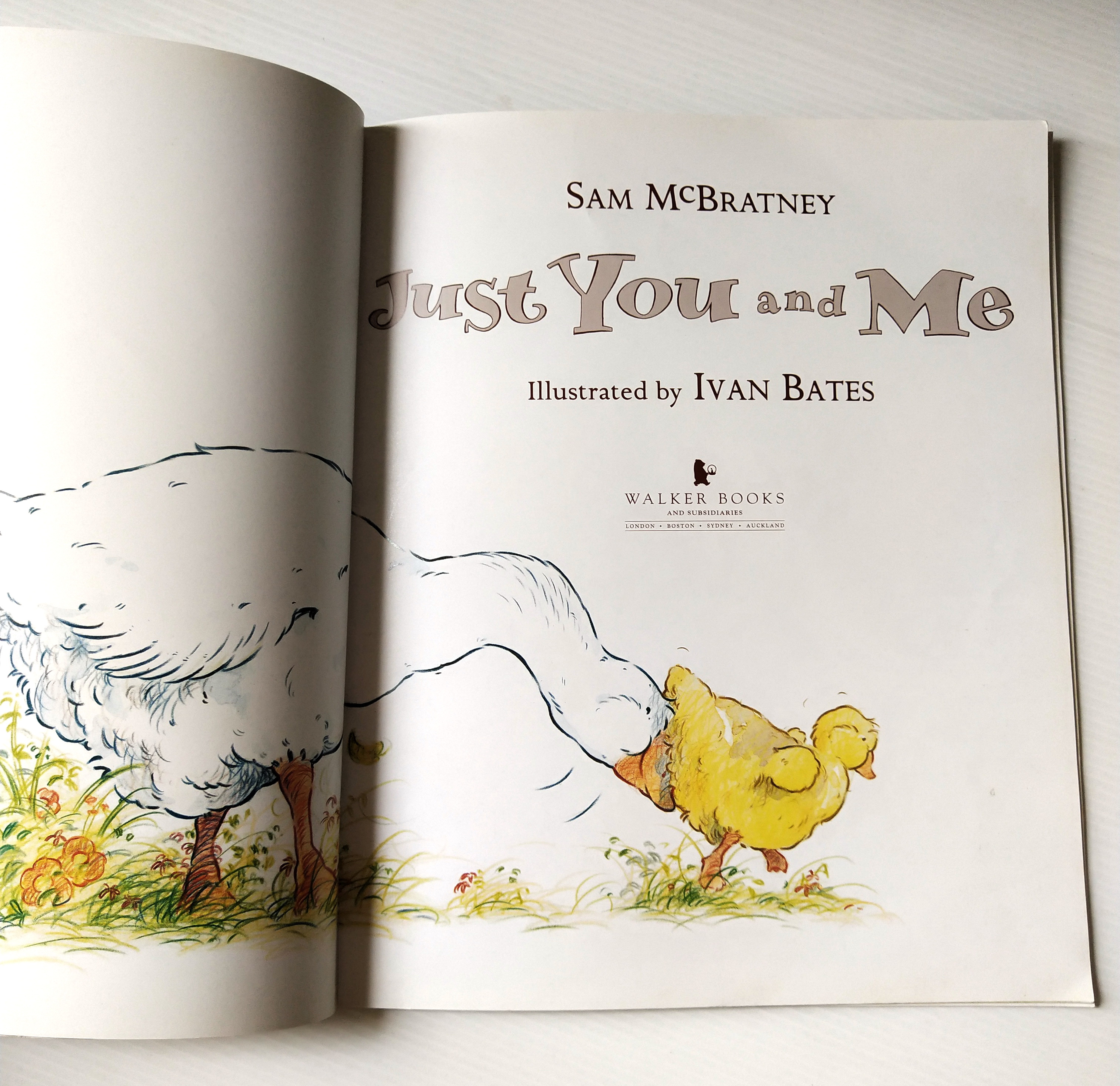 หนังสือนิทานฉบับภาษาอังกฤษ เรื่องราวของครอบครัวห่าน และห่านน้อย จาก SAM MCBRATNEY,"Just You and Me" ภาพโดย Ivan Bates