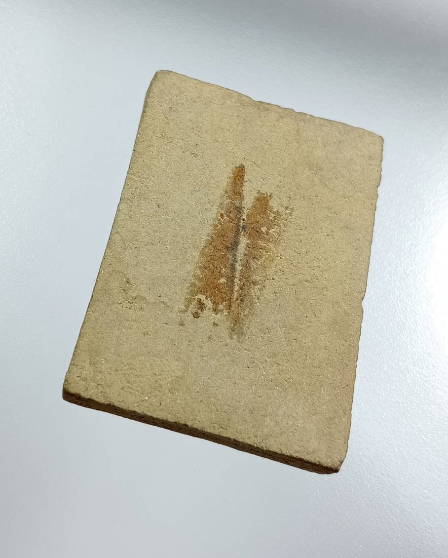 ผ3376 พระสมเด็จ เนื้อผสมแร่เหล็กไหล หลวงพ่อก๋วน วัดตะเคียนทอง จ.ระยอง