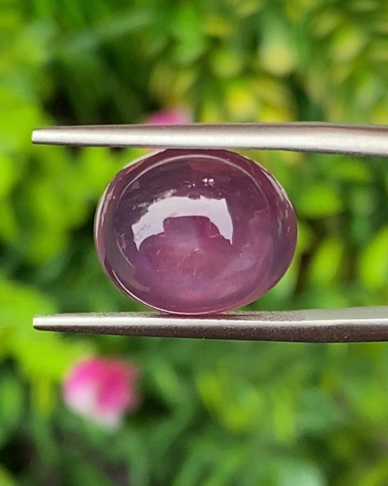 พลอย ทับทิม (Ruby Sapphire) 11.68 กะรัต (Cts.) พลอยแท้ อัญมณีมงคลประจําวันเกิด เครื่องประดับพลอย