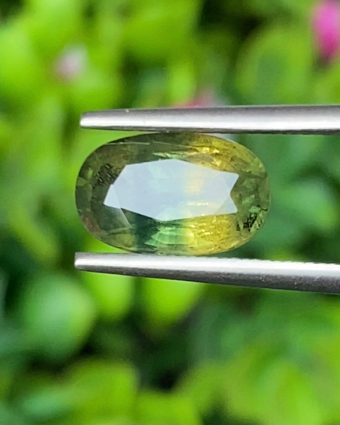 พลอย แซฟไฟร์ 2 สี Bi-Color Sapphire 3.32 กะรัต (Cts.) พลอยแท้ อัญมณีมงคลประจําวันเกิด เครื่องประดับพลอย