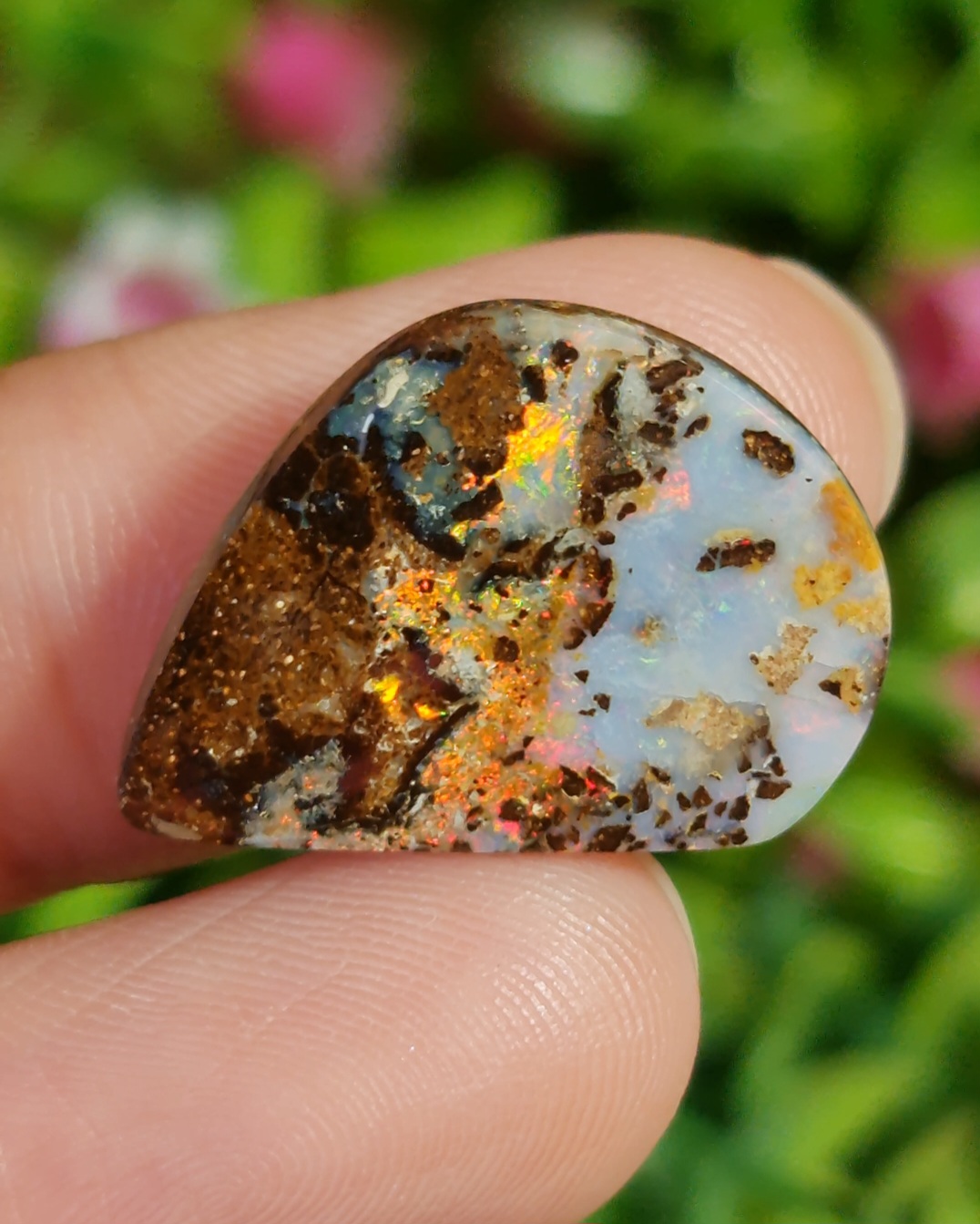 พลอย โบลเดอร์ โอปอล ออสเตรเลีย Australian Boulder Opal 14.3 กะรัต (Cts.) พลอยแท้ อัญมณีมงคลประจําวันเกิด เครื่องประดับพลอย