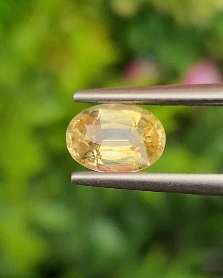 พลอย บุษราคัม yellow sapphire 1.11 กะรัต พลอยแท้ อัญมณีมงคลประจําวันเกิด เครื่องประดับพลอย