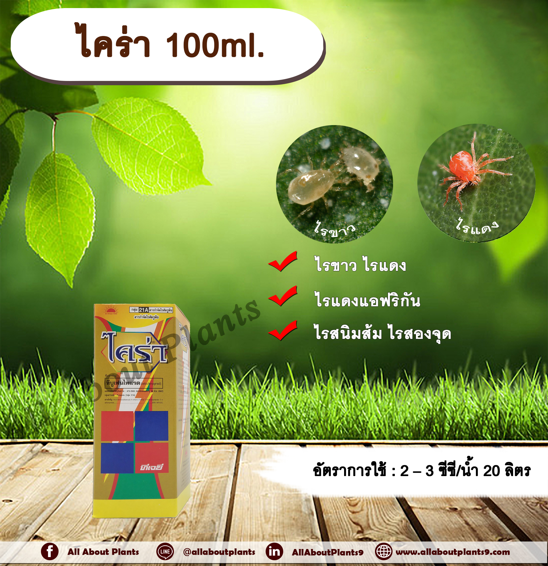 ไคร่า 100ml. ทีบูเฟนไพแรด สารกำจัดแมลง สารกำจัดไร ไรขาว ไรแดง ไรแดงแอฟริกัน ไรสนิมส้ม ไรสองจุด ทีเจซี allaboutplants ขวด