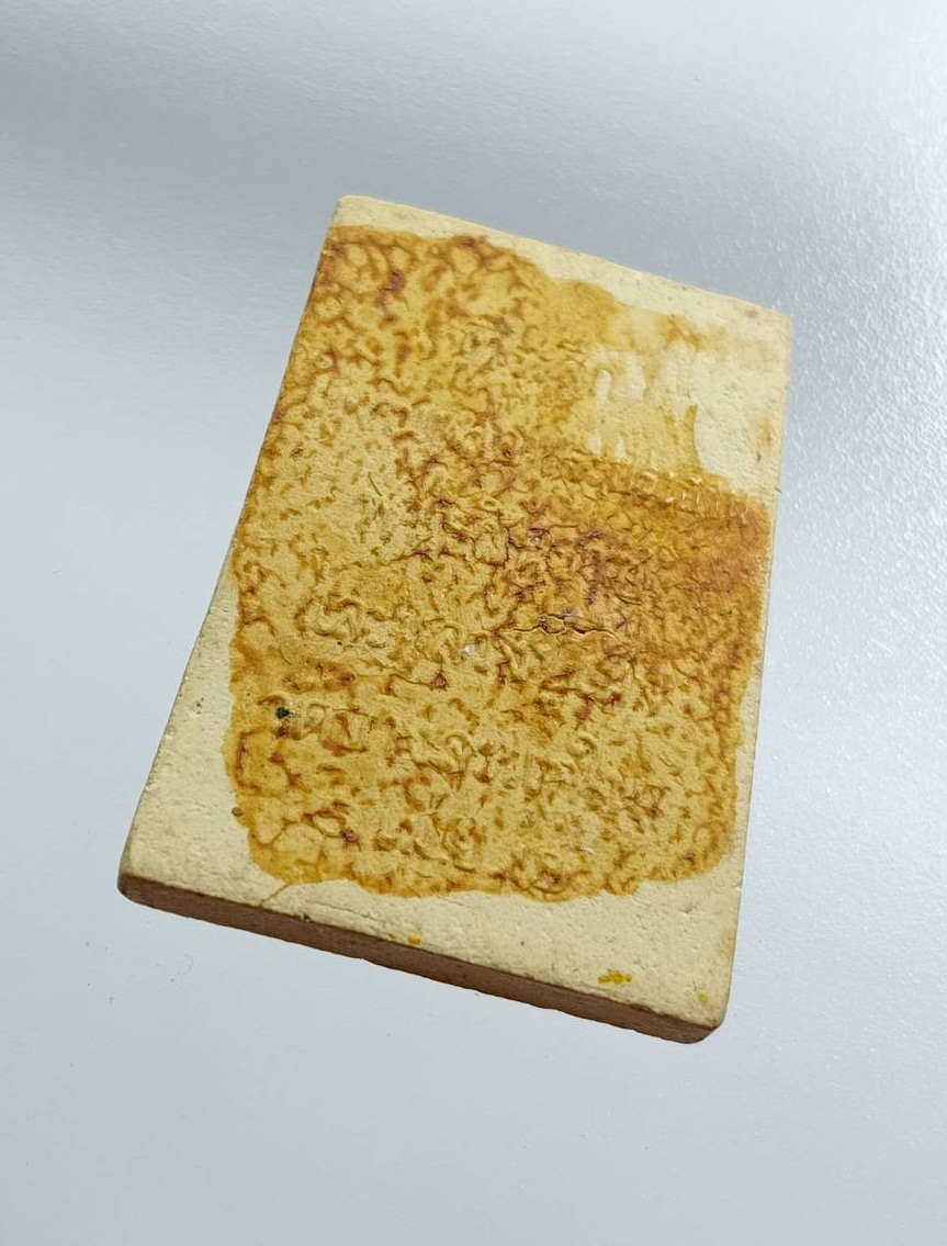 ผ3138 พระผง พระพุทธชินราช วัดบางสะแกใน ปี2518