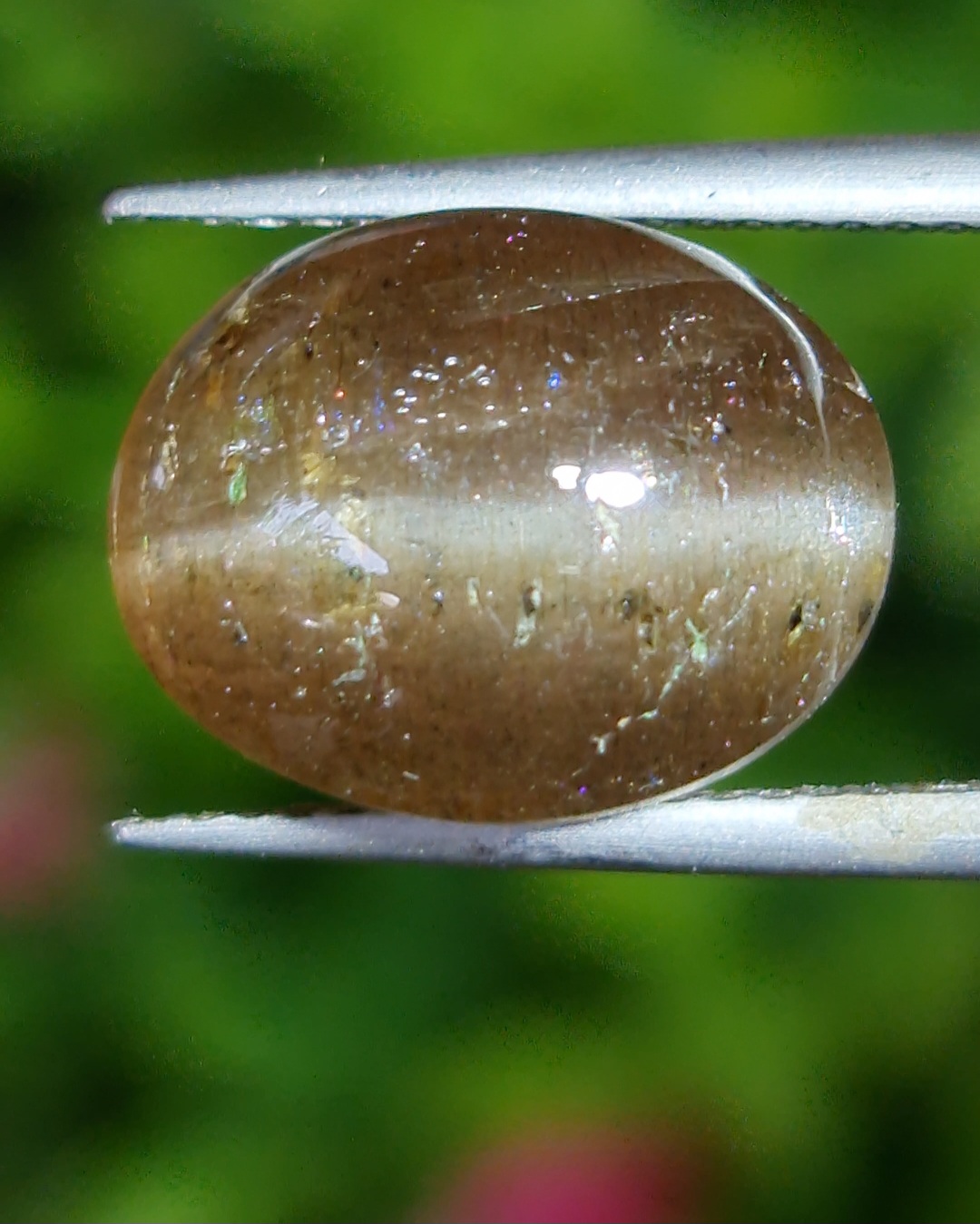 ตาแมว ทัวร์มาลีน Cat eye Tourmaline 7.44 กะรัต Cts. พลอยแท้ อัญมณีมงคลประจําวันเกิด เครื่องประดับพลอย