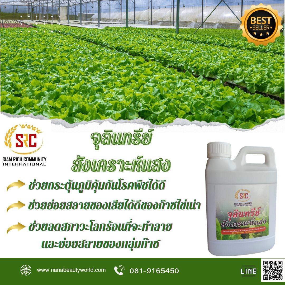 2 PV.จุลินทรีย์สังเคราะห์แสง เข้มข้น 3 เท่า บำรุงพืช ต้น ดอก ใบ ขนาด 1000 มล.