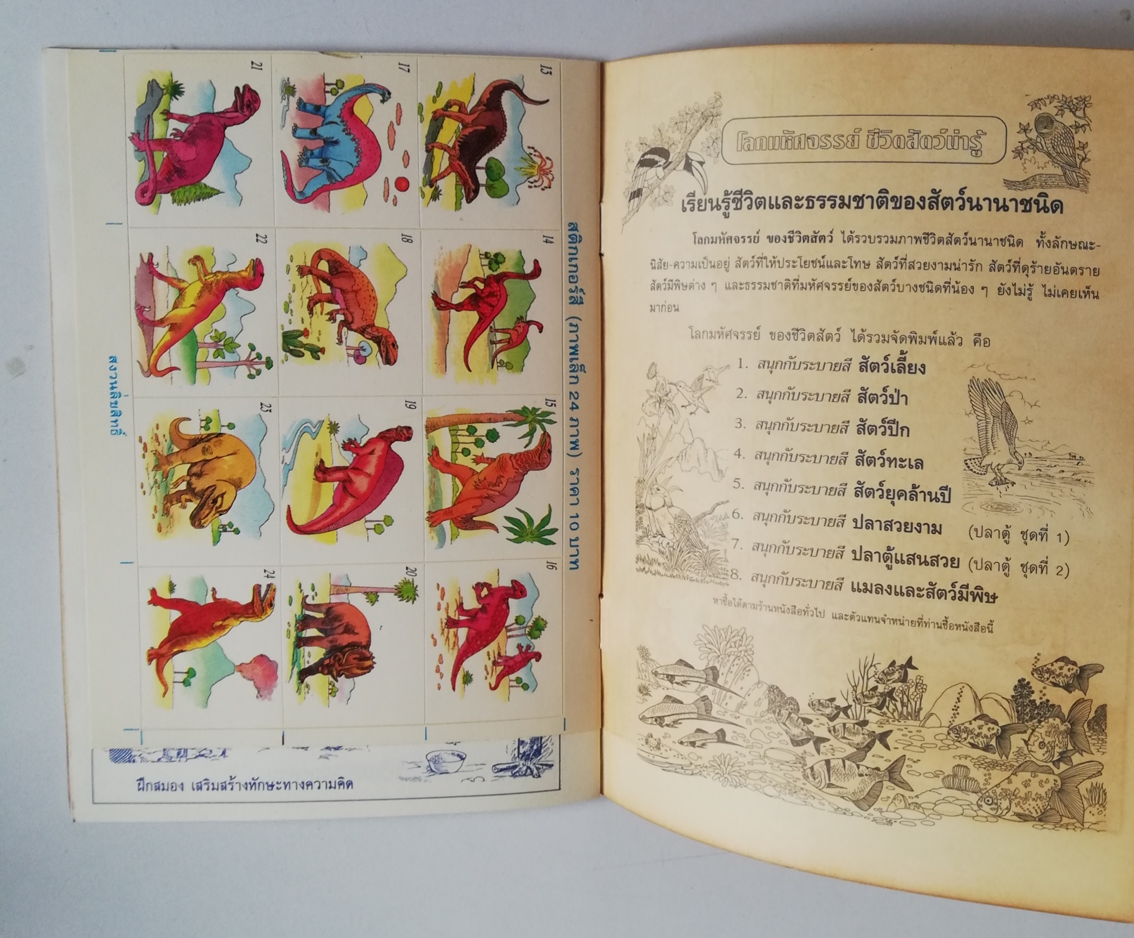 เซ็ทหนังสือภาพระบายสีเก่า ขนาดพ็อคเก็คบุ๊ค สัตว์ล้านปี พร้อมรูปลอก และ พระราชากับช่างตัดเสื้อ (ปกหลังมีรอยด้านล่างตามภาพ) -สัตว์ล้านปี พร้อมรูปลอก รู้จักสัตว์ประหลาดดึำดำบรรพ์ยุคจูแรสสิก-ครีเทซัส (70-200 ล้านปี) -พระราชากับช่างตัดเสื้อ