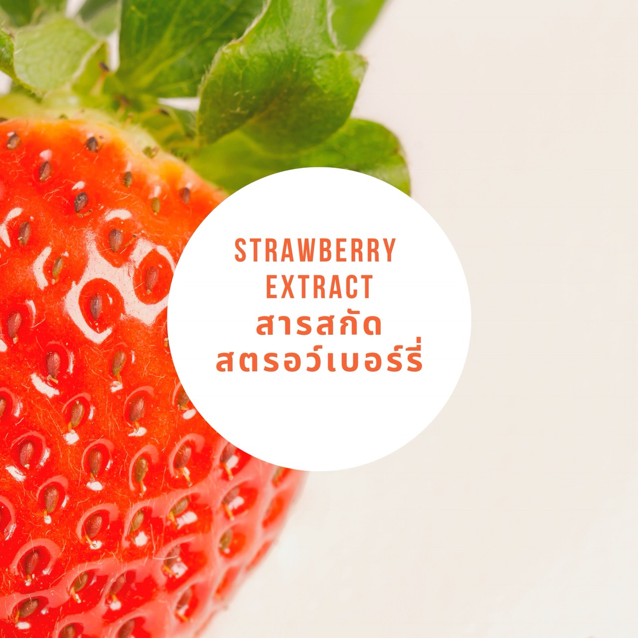 สารสกัดสตรอเบอร์รี่เข้มข้น บรรจุ 100 มล. (ราคารวม Vat 7%)