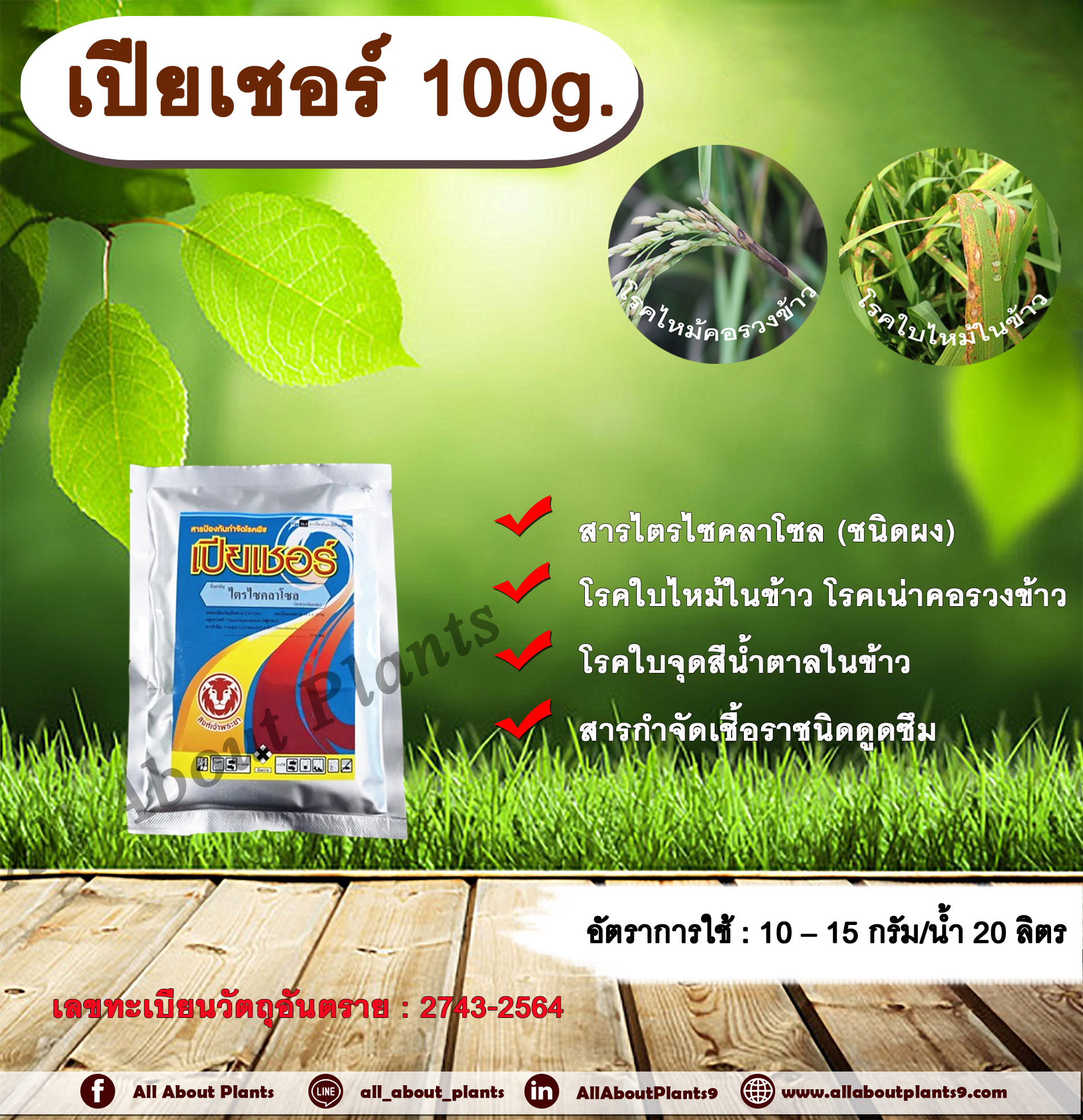 เปียเชอร์ 100g. ไตรไซคลาโซล สารกำจัดโรคพืช สารกำจัดเชื้อรา โรคใบไหม้ โรคเน่าคอรวง โรคใบจุดสีน้ำตาล โรคในข้าว โรคพืช เชื้อรา ซอง
