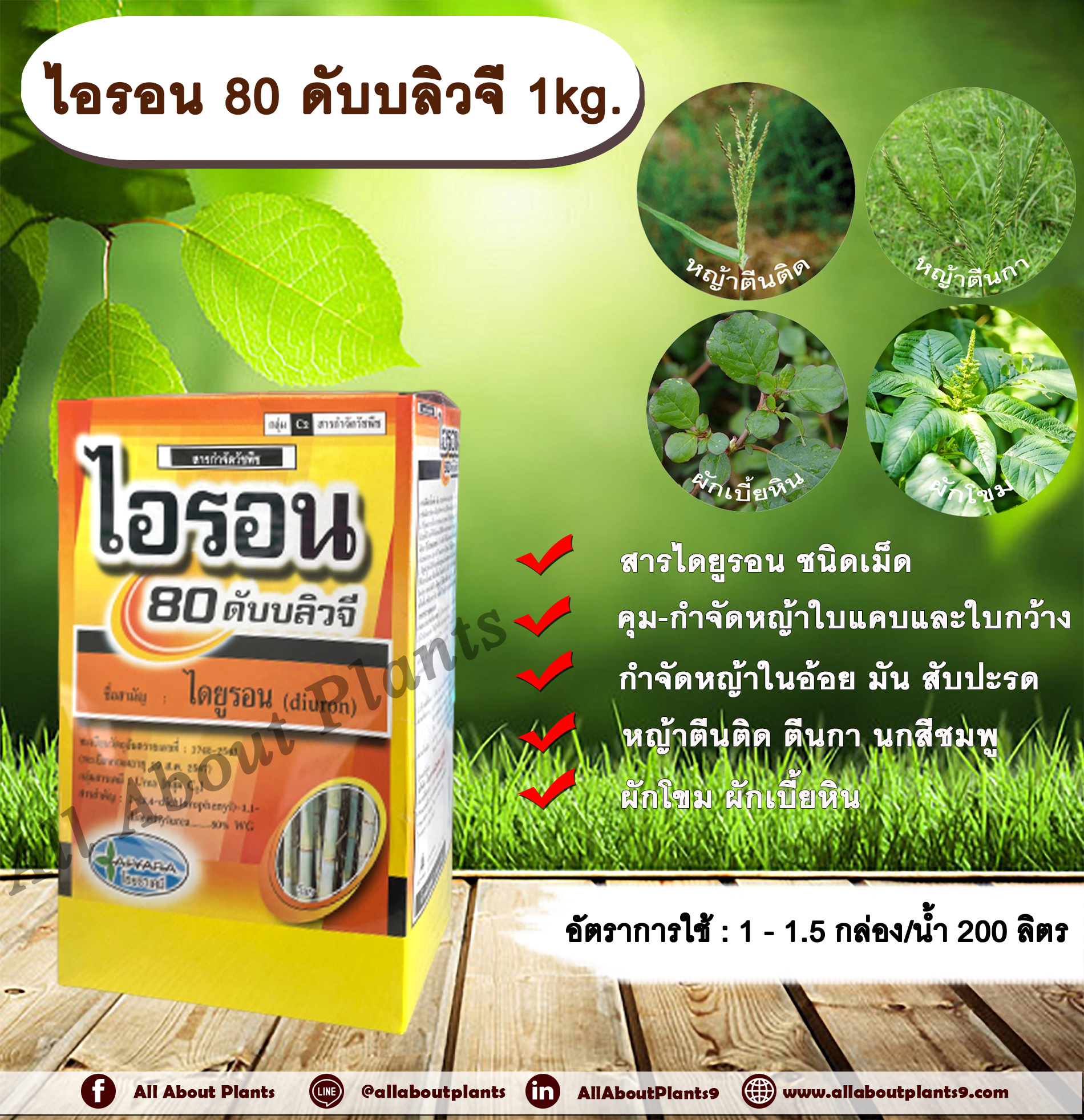 ไอรอน 80 ดับบลิวจี 1kg.ไดยูรอน สารคุมและกำจัดวัชพืช ใบแคบและใบกว้าง แบบดูดซึม ชนิดเม็ดคุมและกำจัดหญ้าใบแคบและใบกว้าง ในไร่อ้อย มันสำปะหลัง สับปะรด กำจัดหญ้านกสีชมพู หญ้าตีนนก หญ้าตีนกา หญ้าตีนติด หญ้าปากควาย หญ้าโขย่ง ผักโขม ผักเบี้ยหิน ชิ้น