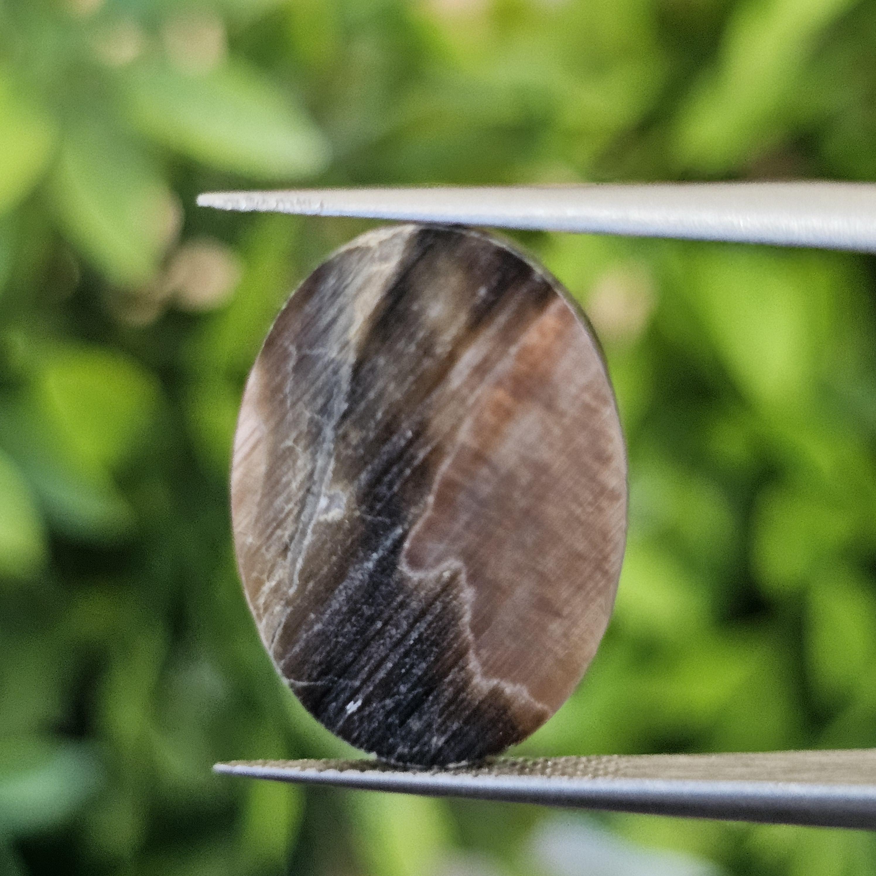 เปลือกหอยมุก แกะสลัก Pearl Shell Carved 3.80 กะรัต (Cts.)