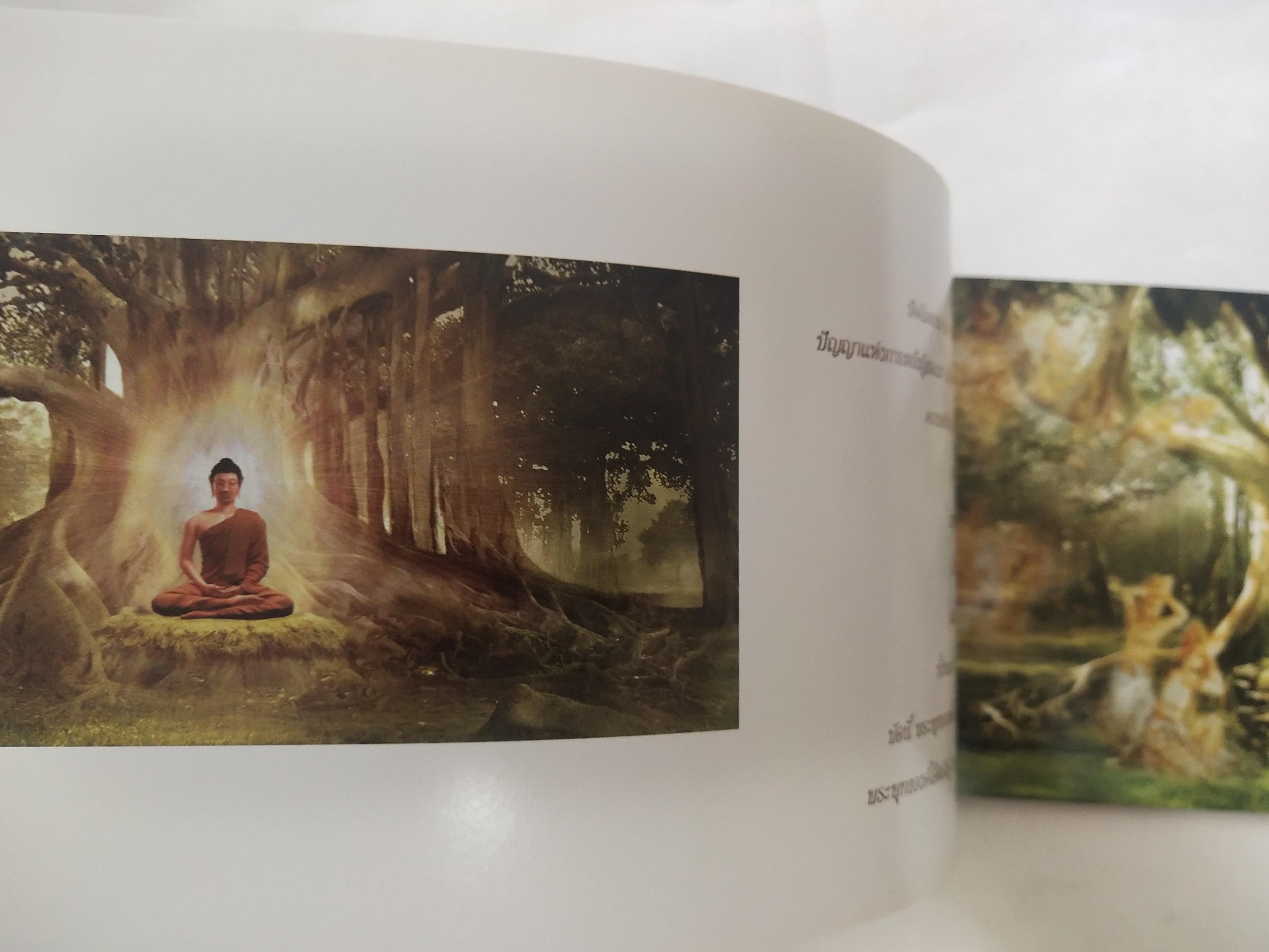 หนังสือภาพสวยเล่มยาว พระพุทธเจ้า เรื่องราวเกี่ยวกับพระศาสดา พร้อมภาพสีทั้งเล่ม