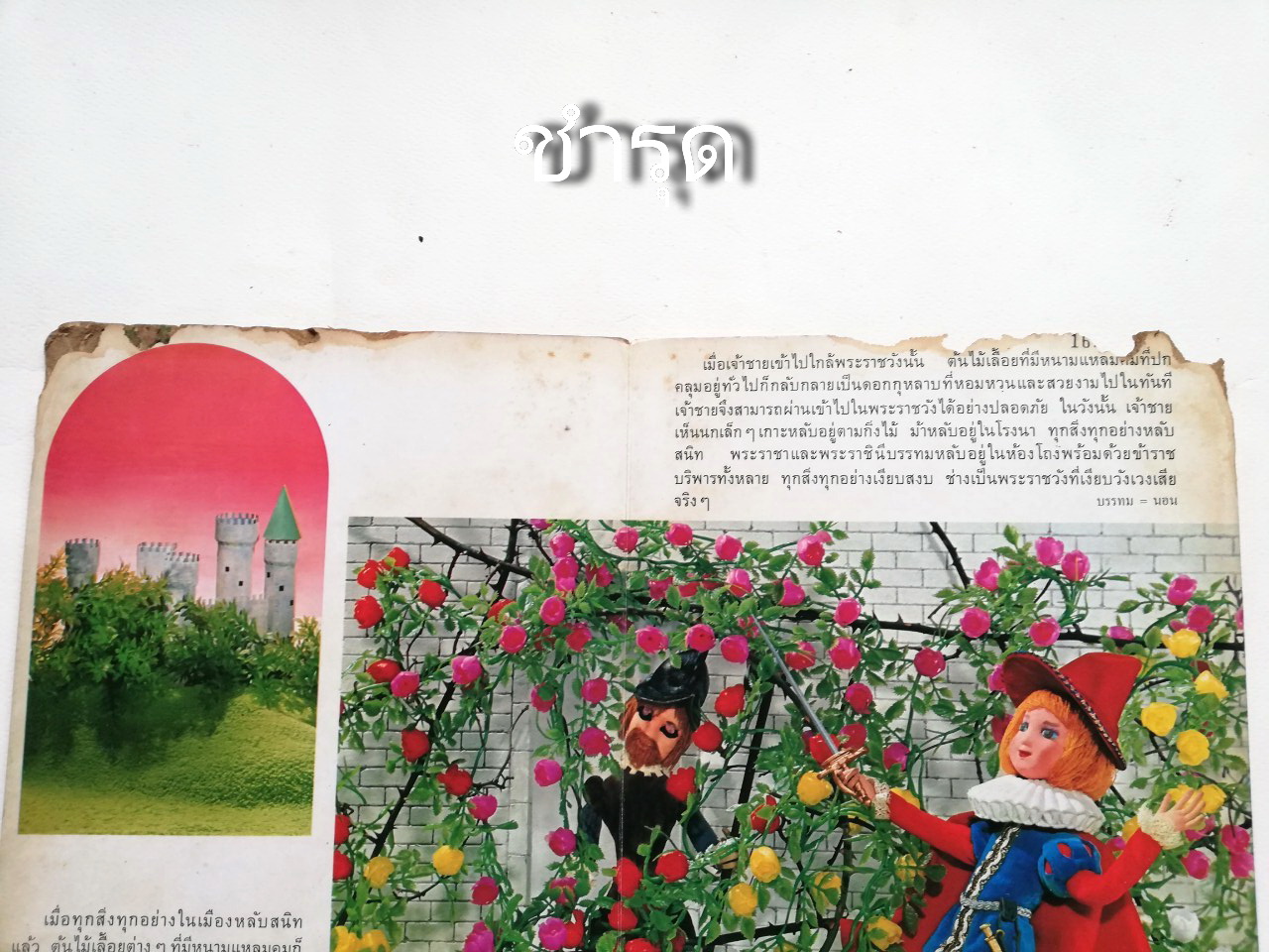 หนังสือนิทานคุณหนู **หนังสือเก่ามีตำหนิ โปรดตรวจสอบทุกภาพ-ส่วนบนของหนังสือมีรอยชำรุดตามภาพ , เจ้าหญิงนิทรา ปกแข็ง ภาพเรื่องราวเป็นตุ๊กตา ถ่ายครบทั้งเล่ม เคยเป็นหนังสือห้องสมุด